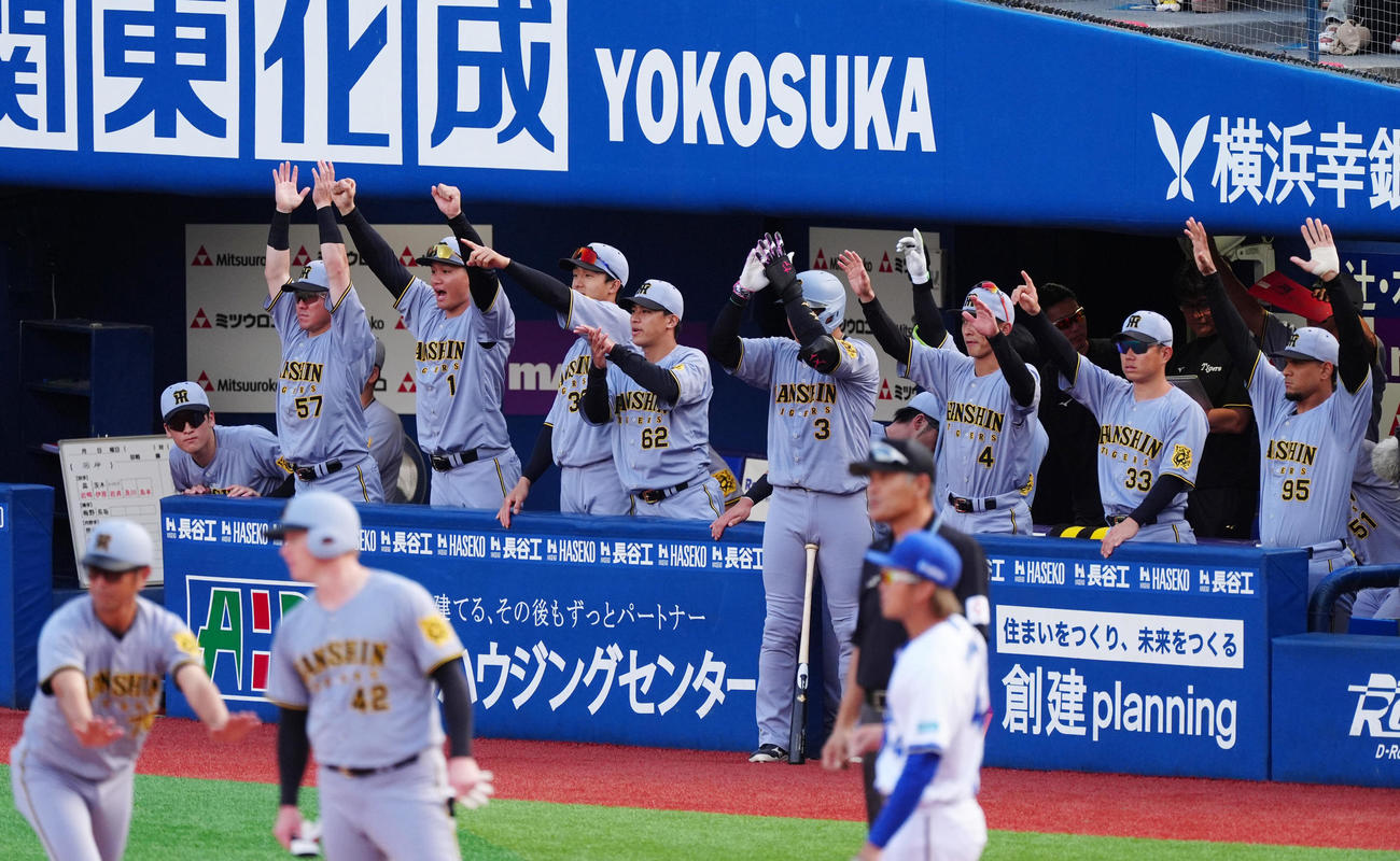 DeNA対阪神　5回表阪神2死満塁、前川の同点適時打に盛り上がる阪神の選手ら＝（撮影・清水貴仁）