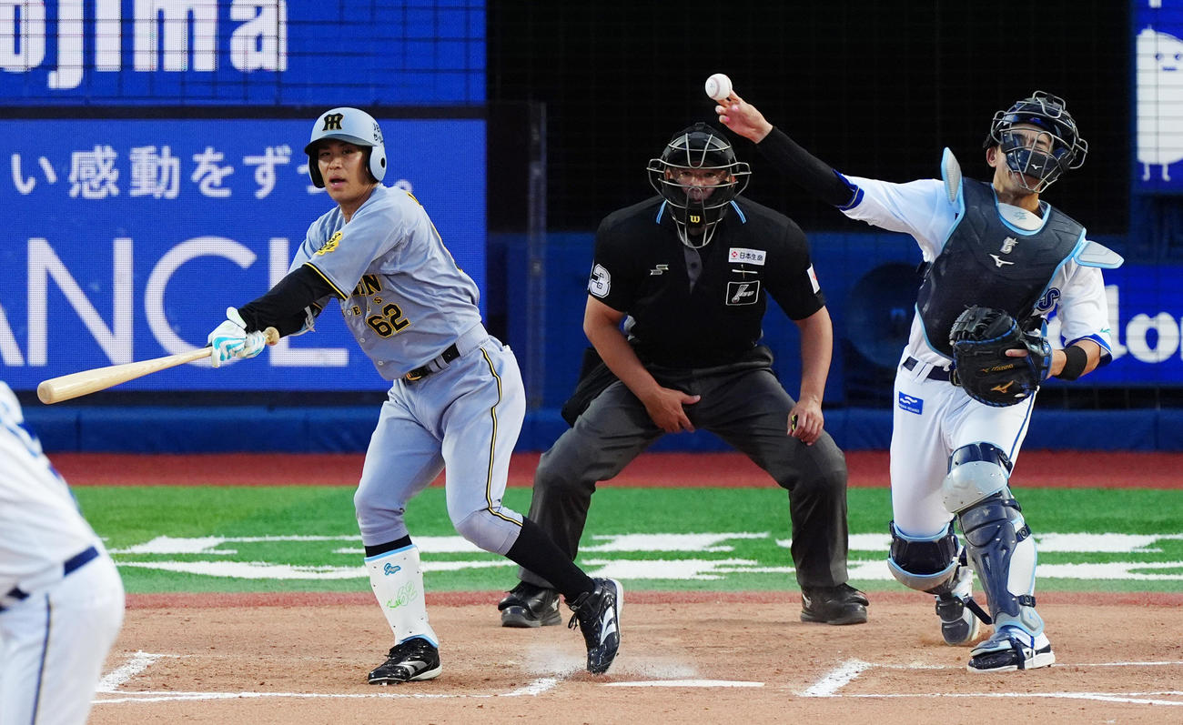 DeNA対阪神　10回表阪神1死一塁、打者植田が三振、さらに走った走者中野を捕手山本がアウトにする（撮影・清水貴仁）