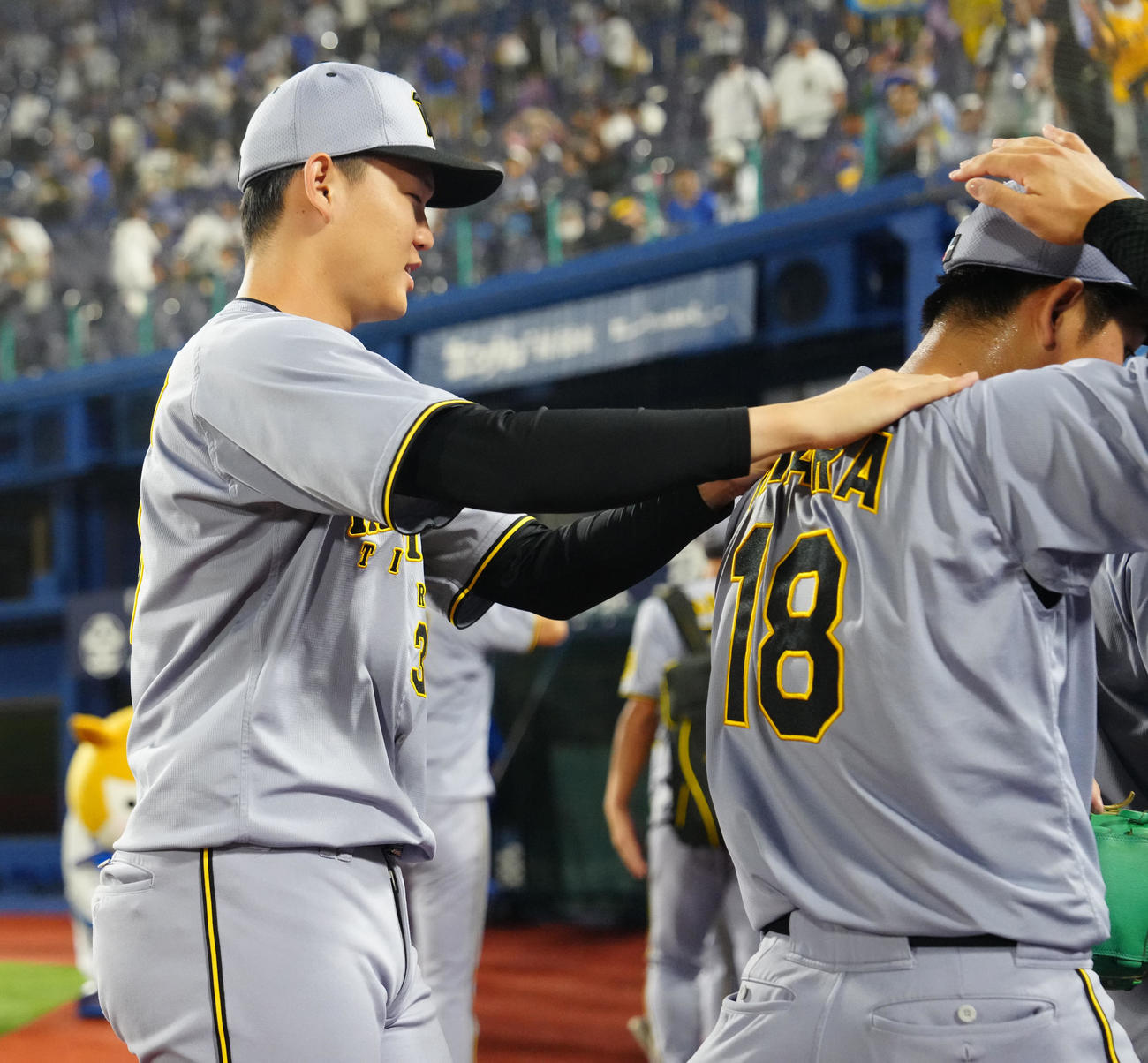 DeNA対阪神　試合後、阪神伊原（右）の肩をもみ、ねぎらう及川（撮影・江口和貴）