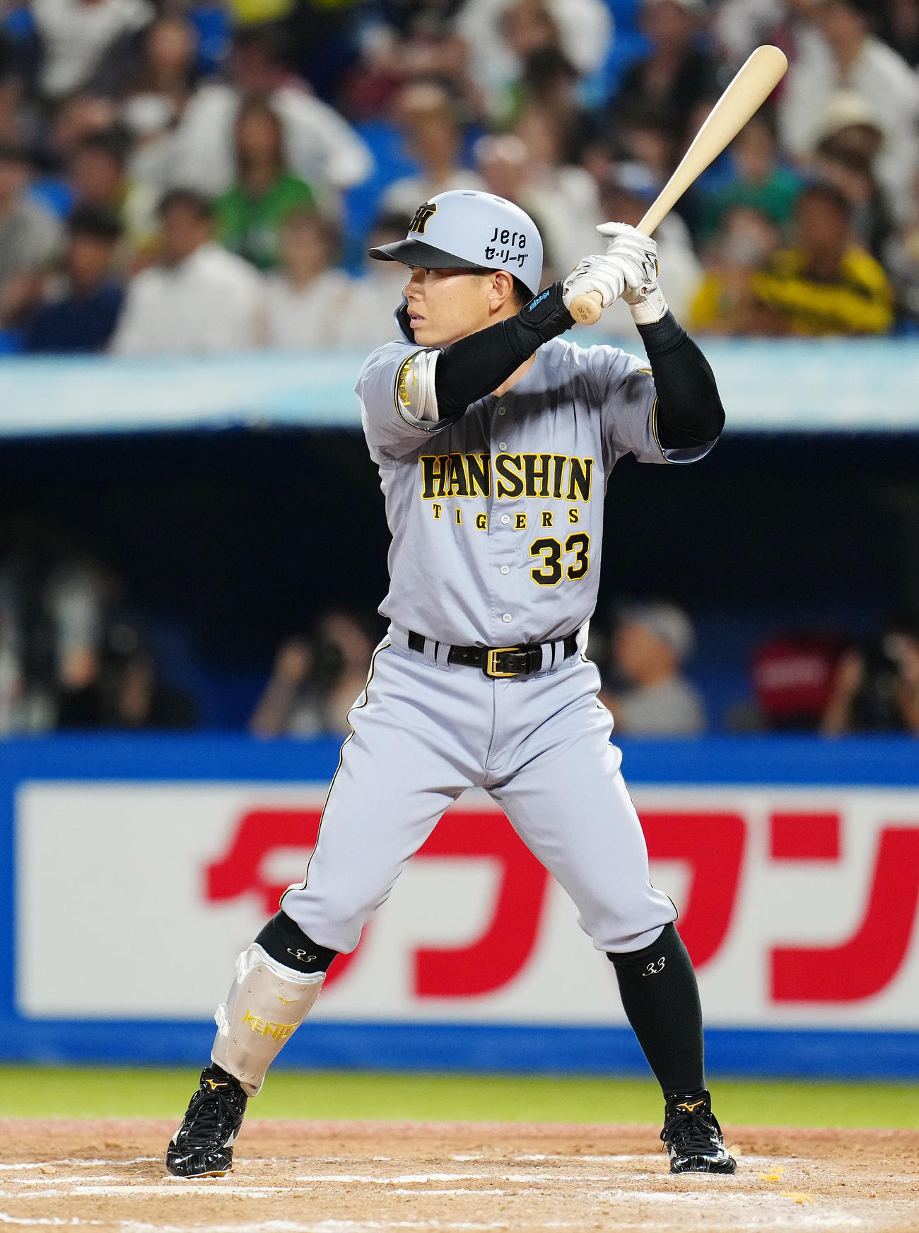 阪神糸原健斗（2025年8月22日撮影）