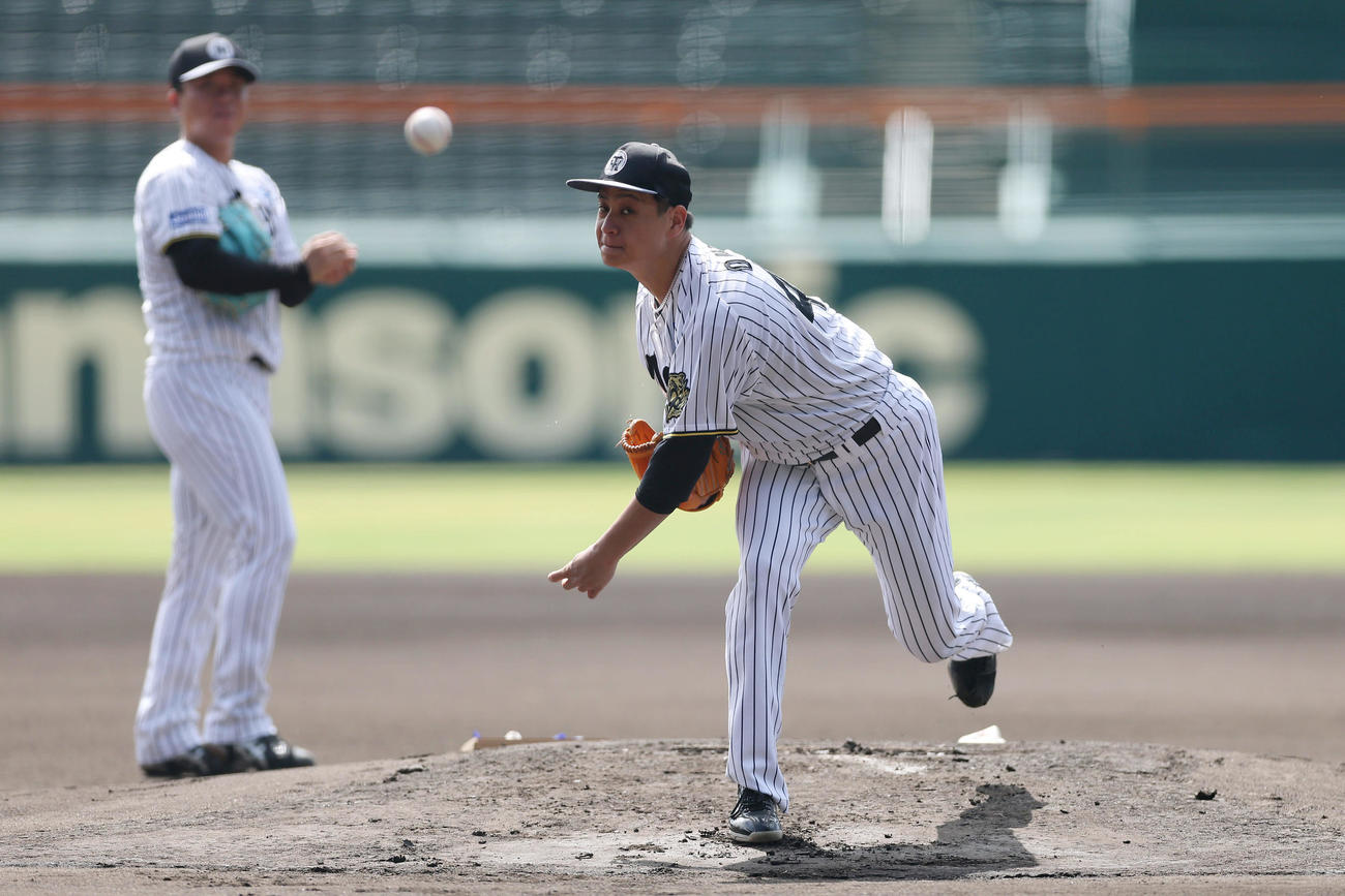 甲子園球場のマウンドで投球練習する阪神大竹。左は村上（撮影・前田充）