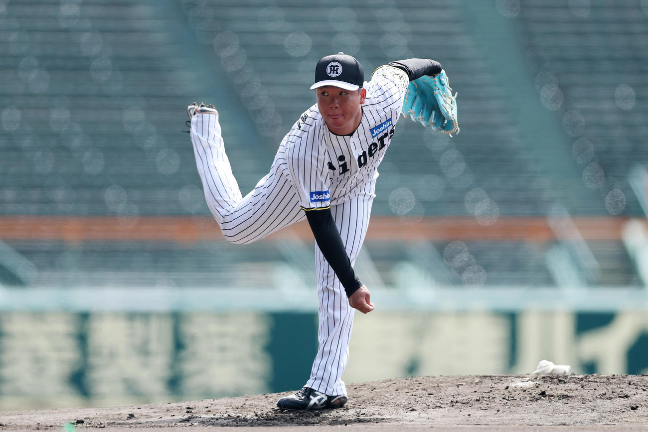 甲子園球場のマウンドで投球練習する阪神村上（撮影・前田充）