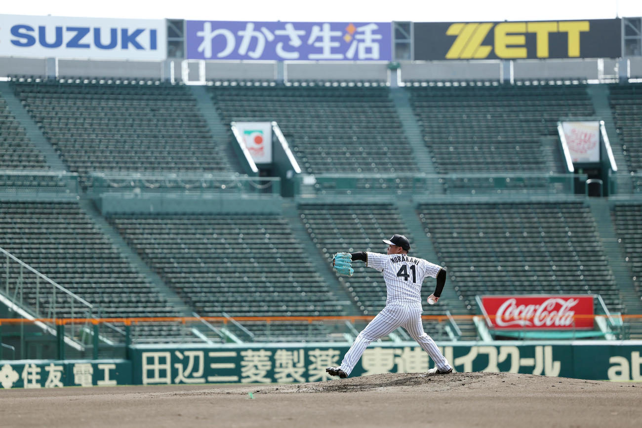 甲子園球場のマウンドで投球練習する阪神村上（撮影・前田充）