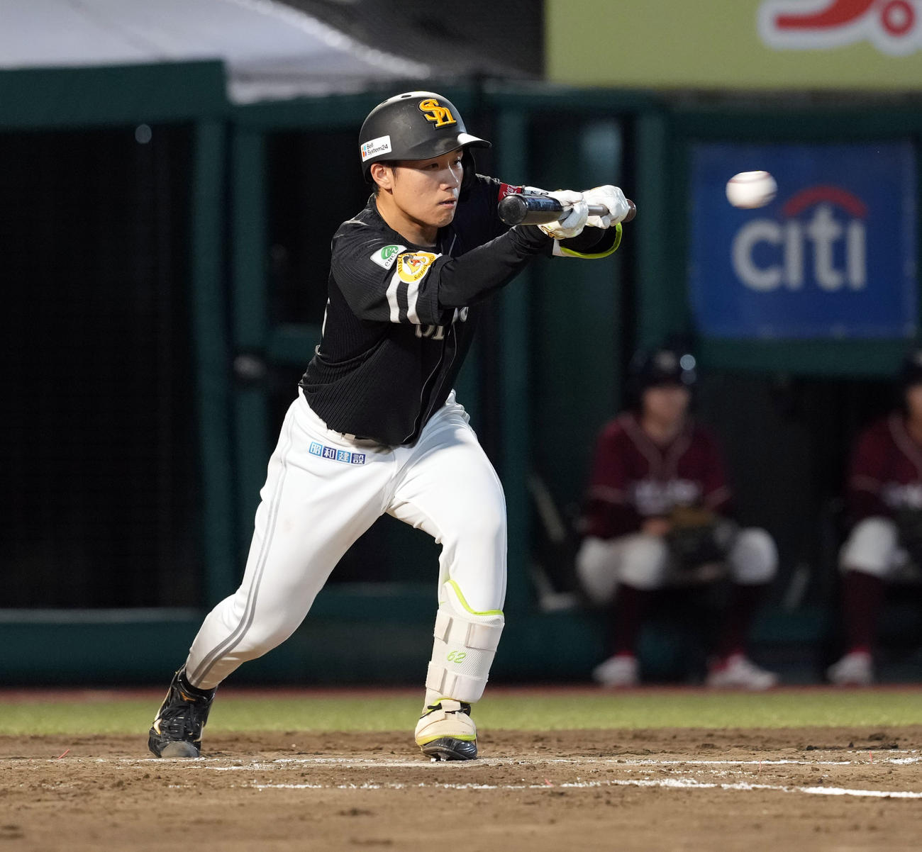 楽天対ソフトバンク　4回表ソフトバンク無死一、二塁、バントを決める海野（撮影・たえ見朱実）