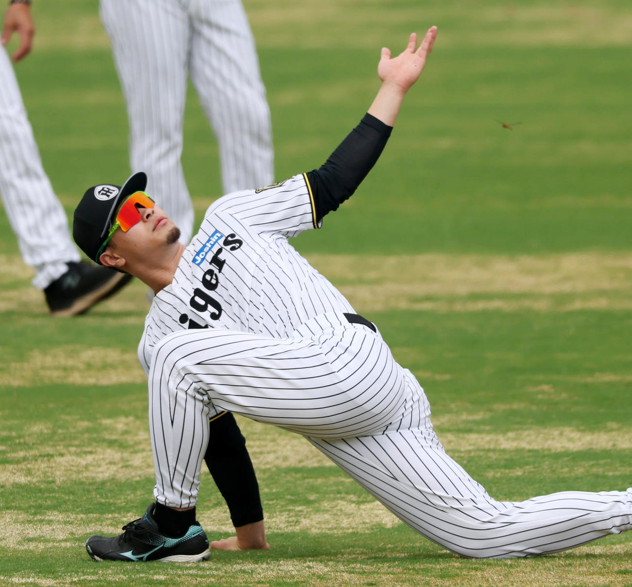練習でウオーミングアップする阪神佐藤輝（撮影・加藤哉）