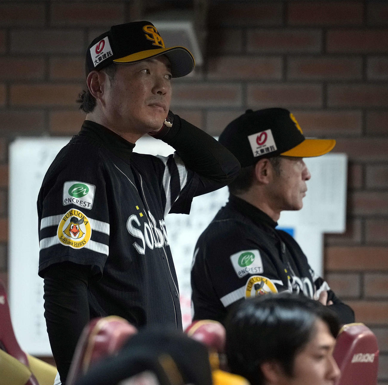 楽天対ソフトバンク　ベンチで戦況を見つめるソフトバンク小久保裕紀監督（撮影・たえ見朱実）