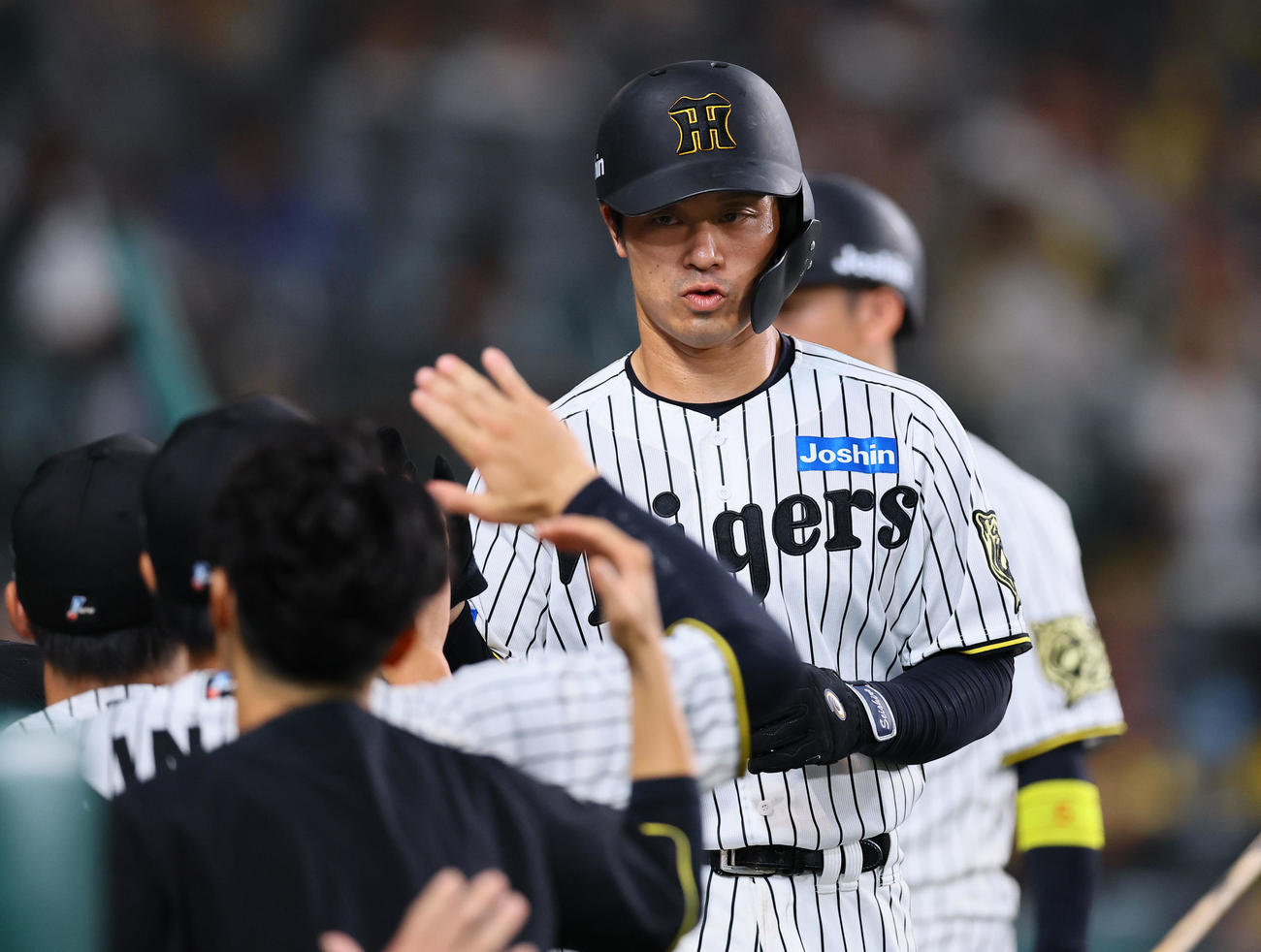 阪神対中日　1回に走者一掃の二塁打を放ち、ベンチのナインとタッチを交わす阪神坂本（撮影・藤尾明華）
