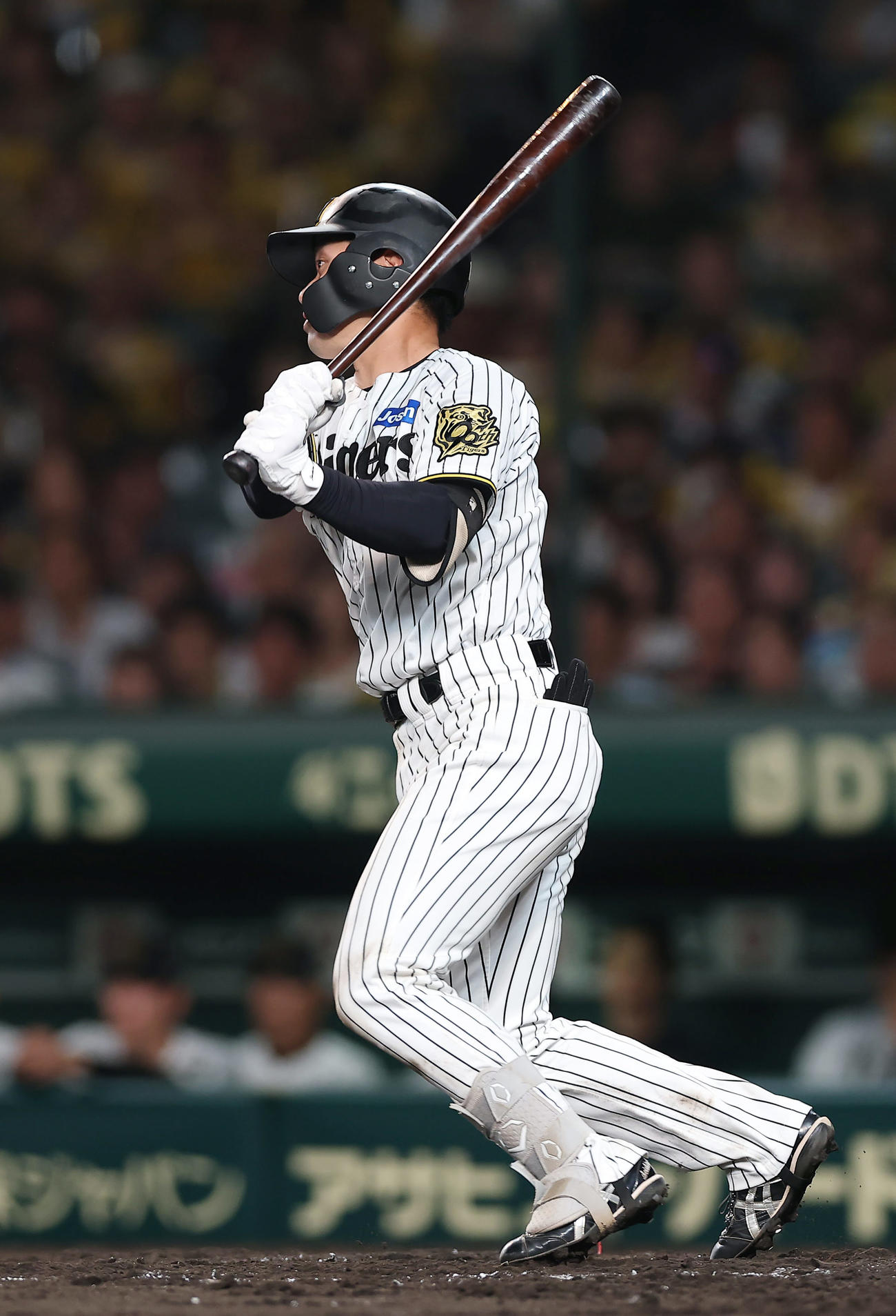 阪神対中日　3回裏阪神2死二塁、中前適時打を放つ坂本（撮影・前田充）