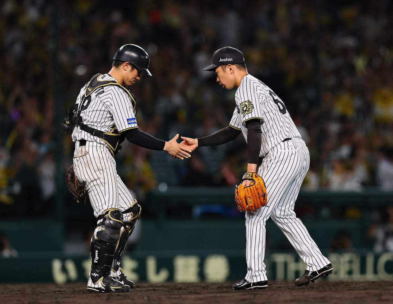 阪神対中日　9回を抑え、坂本と握手を交わす阪神石井（撮影・藤尾明華）