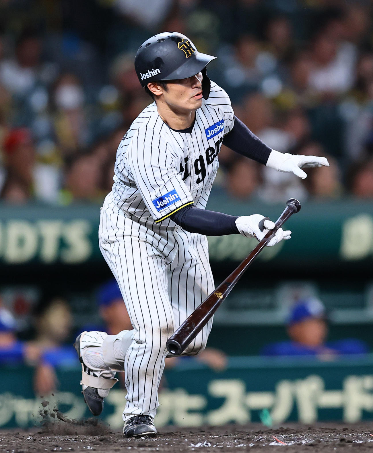 阪神対中日　3回裏阪神2死二塁、坂本は中前適時打を放つ（撮影・藤尾明華）