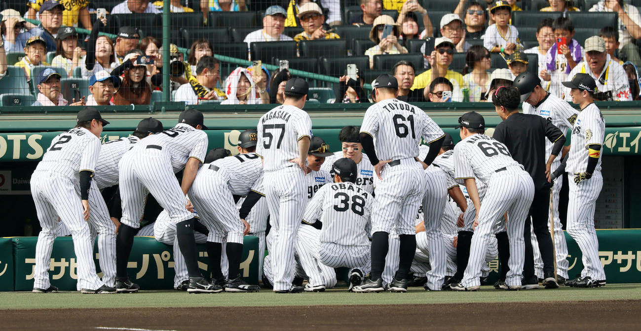 阪神対中日　試合前の円陣を森下の声出しで行う阪神ナイン（撮影・加藤哉）
