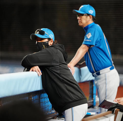 ロッテ対日本ハム　ベンチから試合を見る日本ハム新庄監督（撮影・鈴木みどり）