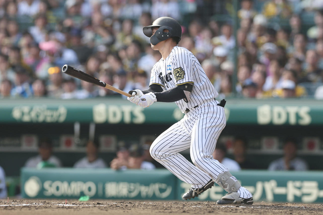 阪神対中日　4回裏阪神2死一塁、中前打を放つ坂本（撮影・前田充）