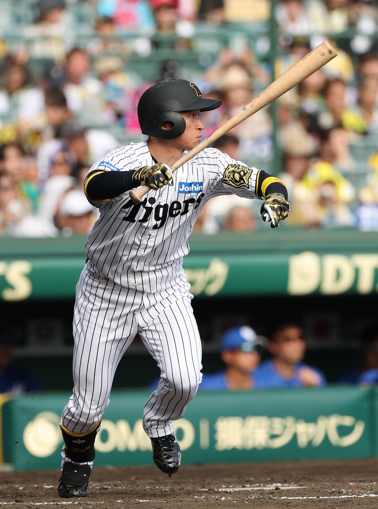 阪神対中日　3回裏阪神無死、近本は中前打を放つ（撮影・上田博志）