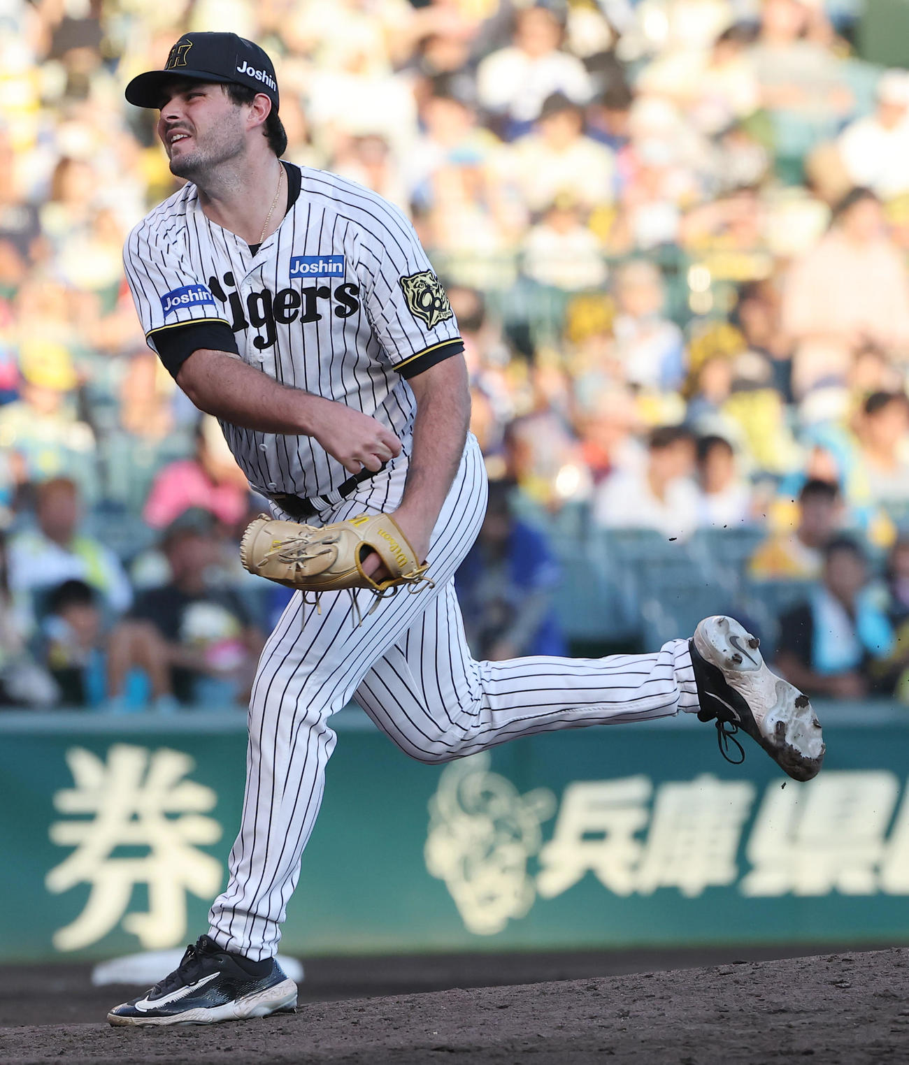 阪神対中日　阪神2番手のハートウィグ（撮影・上田博志）