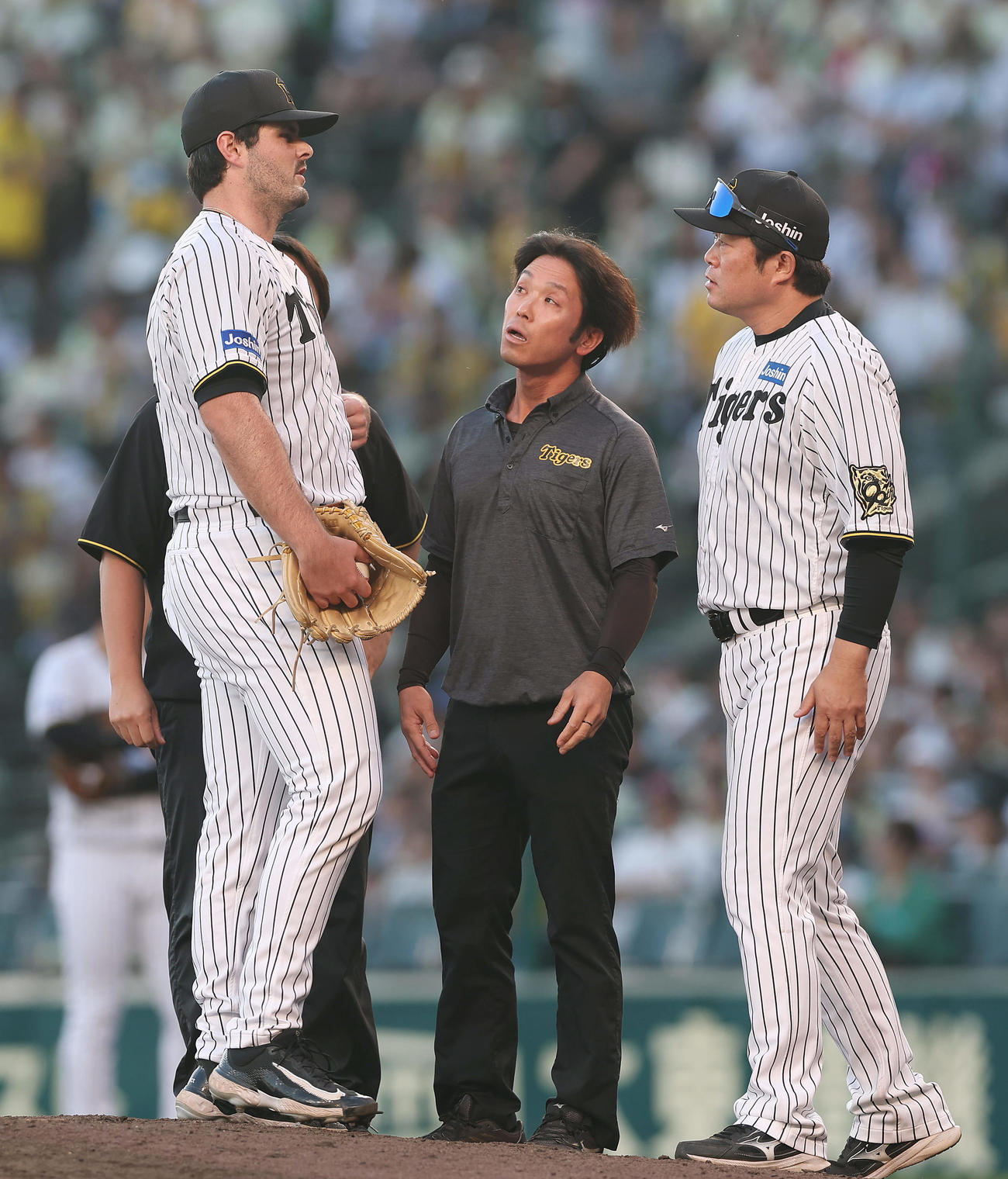 阪神対中日　9回表に阪神2番手で登板するも、2球で降板となったハートウィグ（左）（撮影・前田充）