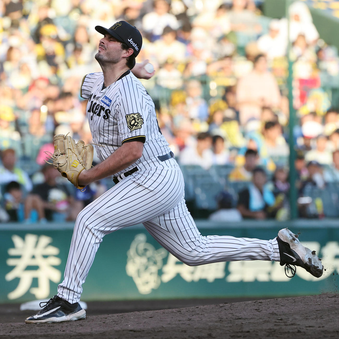 阪神対中日　阪神2番手のハートウィグ（撮影・上田博志）