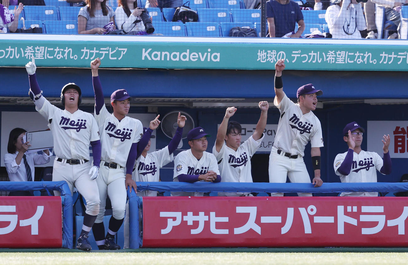 明大対慶大　8回表明大1死、榊原の右越えに本塁打に喜ぶ明大ナイン（撮影・柴田隆二）　　