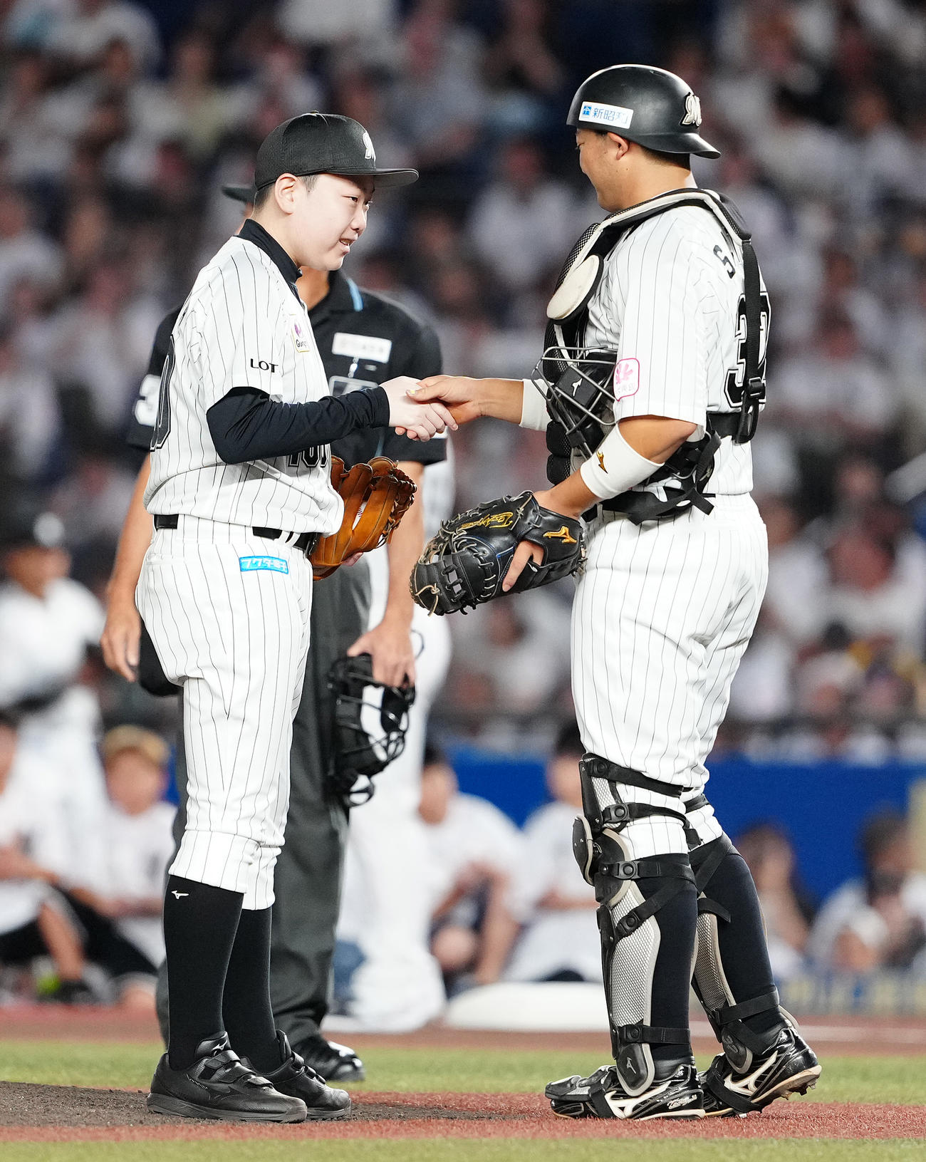 ロッテ対日本ハム　始球式を終え、ロッテ佐藤（右）と握手を交わす宇野沢優翔さん（撮影・鈴木みどり）