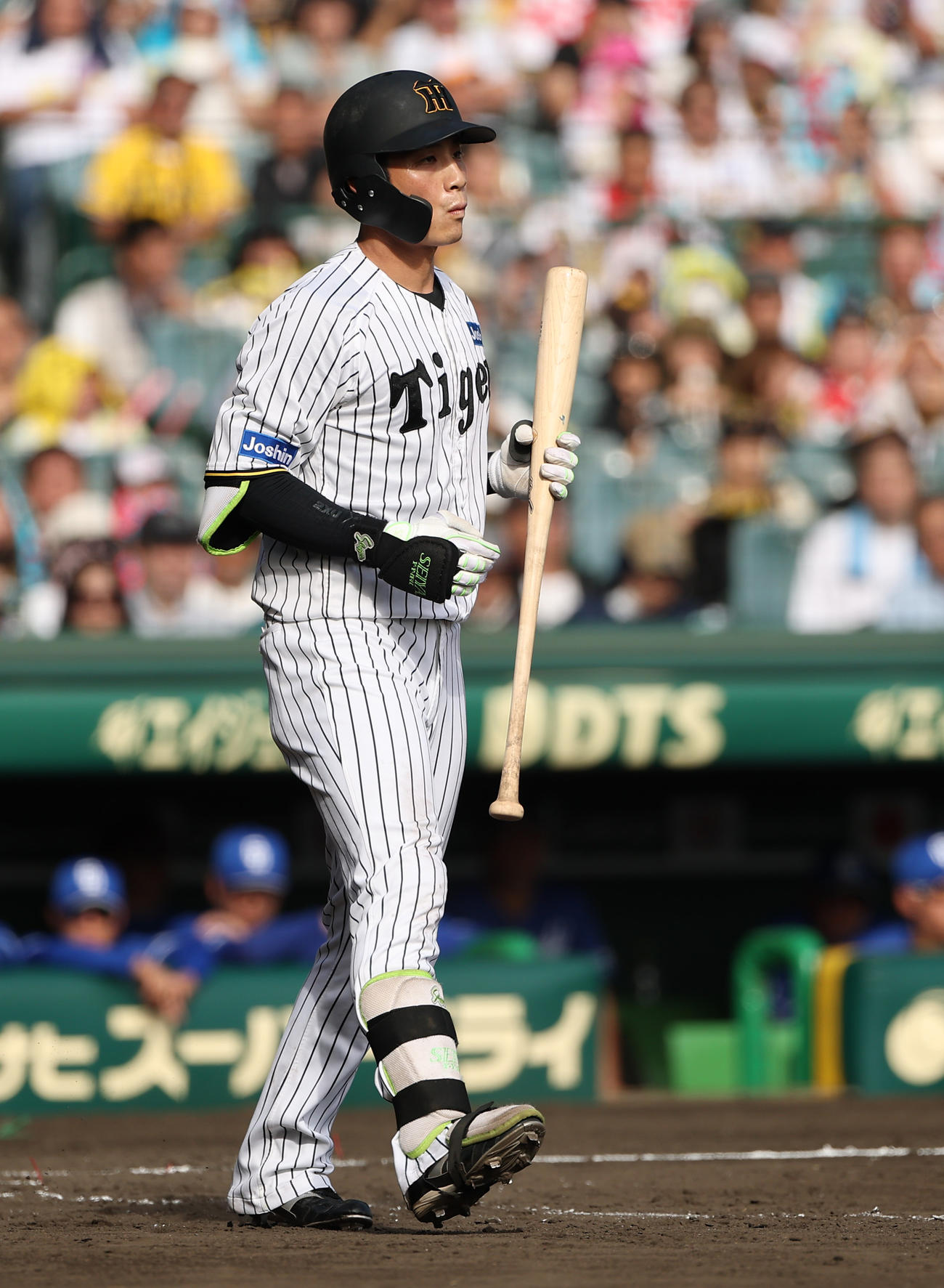 阪神対中日　4回裏阪神2死、木浪は四球を選ぶ（撮影・上田博志）