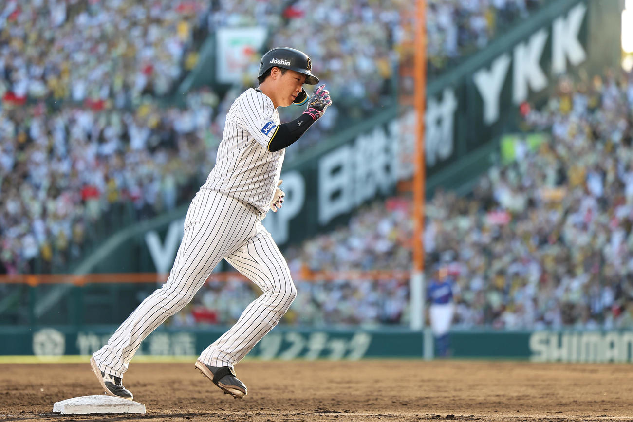 阪神対中日　7回裏阪神2死一、二塁、右越え3点本塁打を放ち本塁へ向かう大山（撮影・前田充）