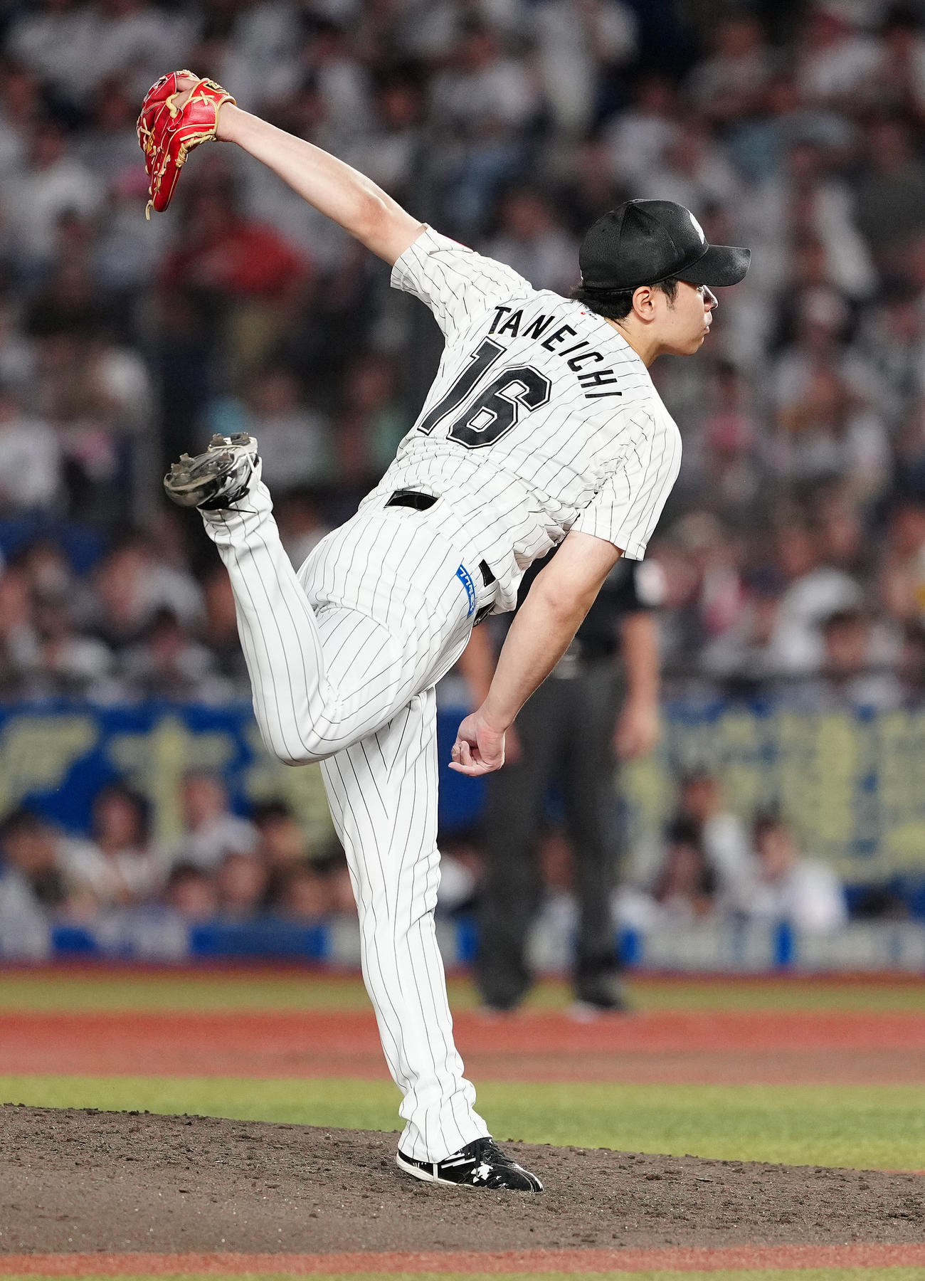 ロッテ対日本ハム　先発し力投するロッテ種市（撮影・鈴木みどり）