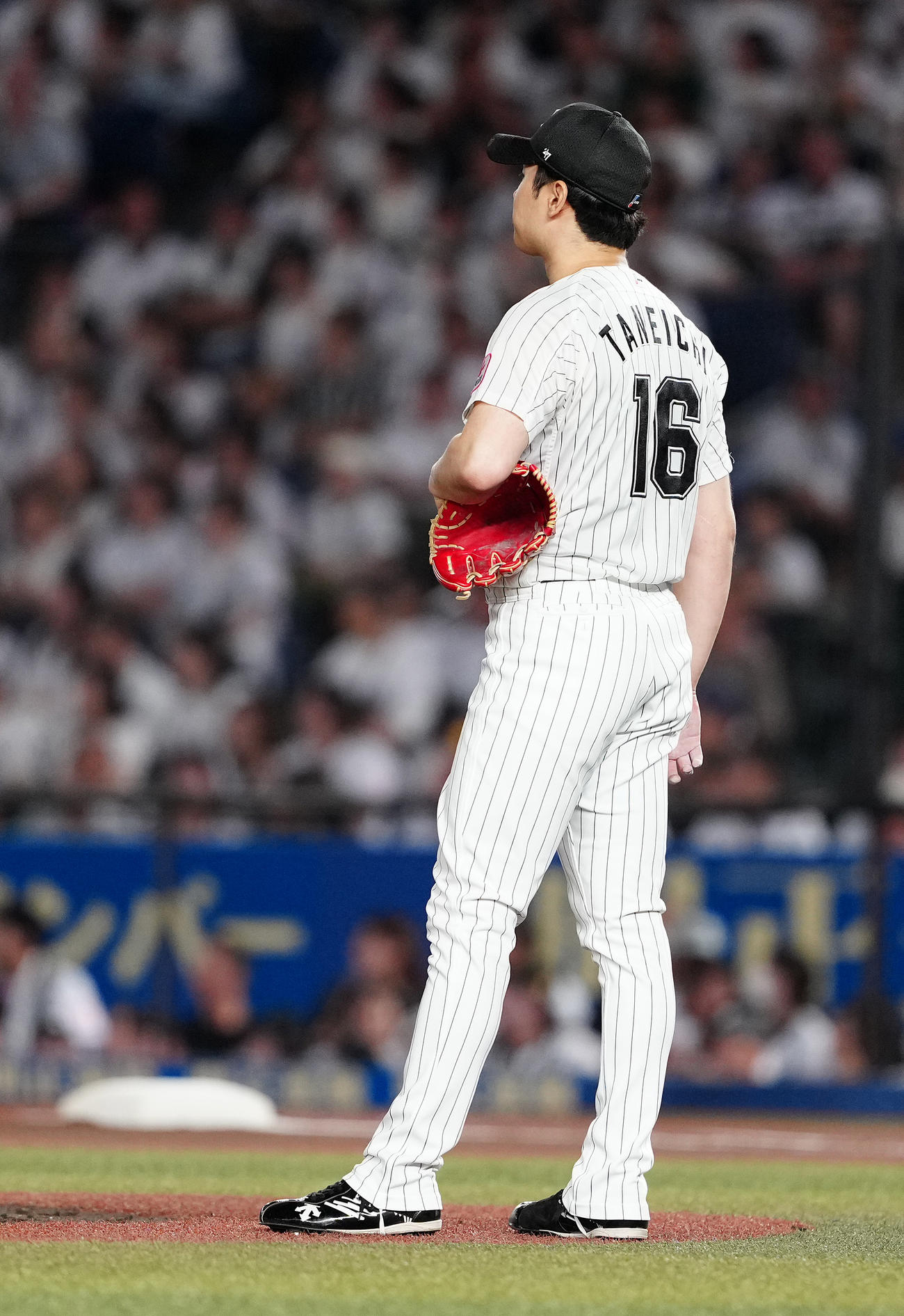 ロッテ対日本ハム　2回表日本ハム1死、清宮幸に先制のソロ本塁打を浴び、ぼうぜんとする種市（撮影・鈴木みどり）