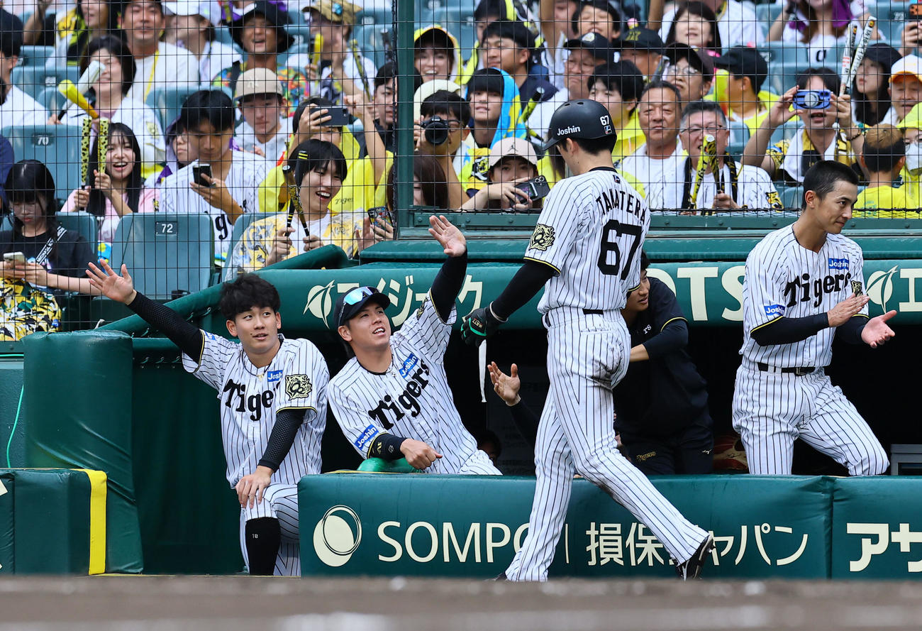 阪神対中日　6回裏阪神2死三塁、ヘルナンデスの右前適時打で生還した高寺を出迎える伊原（左端）（撮影・藤尾明華）