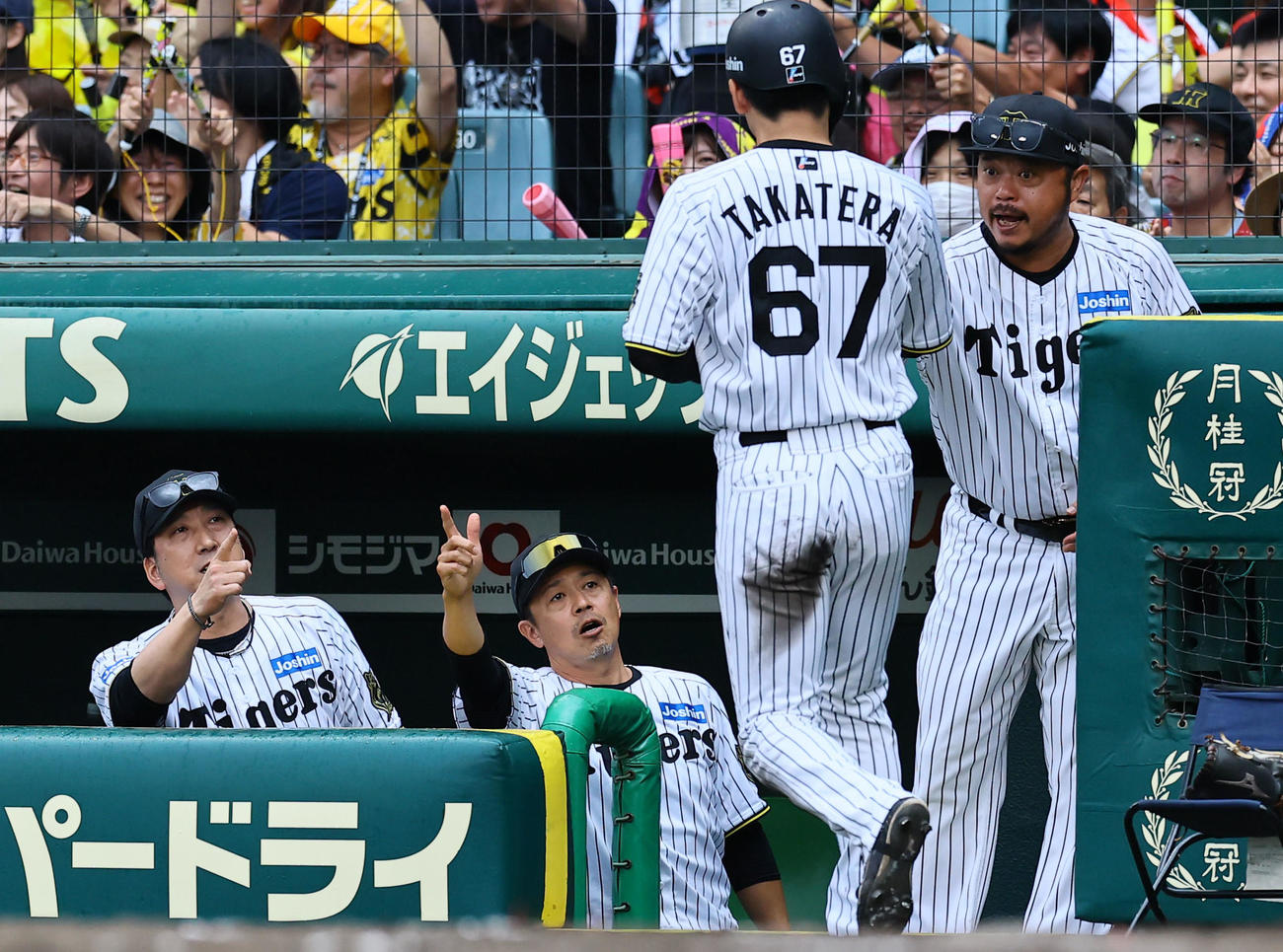 阪神対中日　6回裏阪神2死三塁、ヘルナンデスの右前適時打で生還した高寺を出迎える藤川監督（左端）（撮影・藤尾明華）