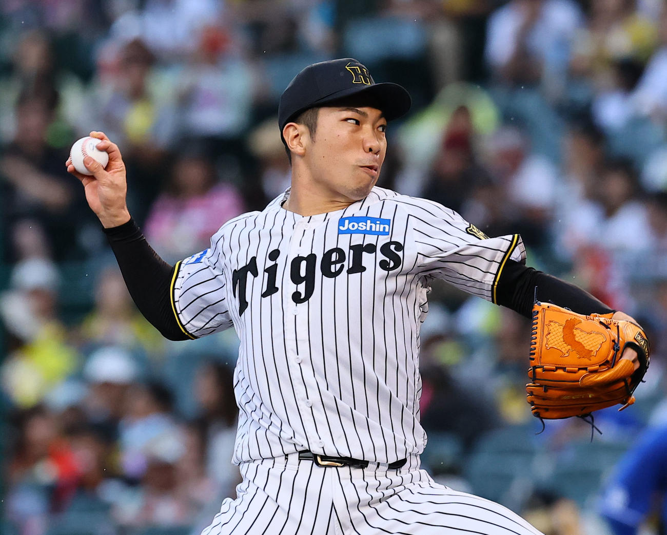 阪神対中日　8回、3番手で登板した阪神石井（撮影・藤尾明華）