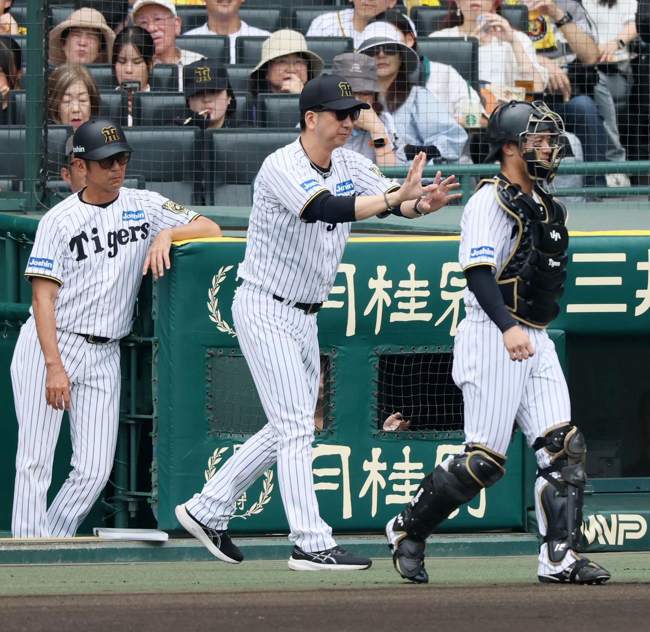 阪神対中日　1回表中日無死、藤川監督は岡林の一塁判定にリクエストする（撮影・加藤哉）