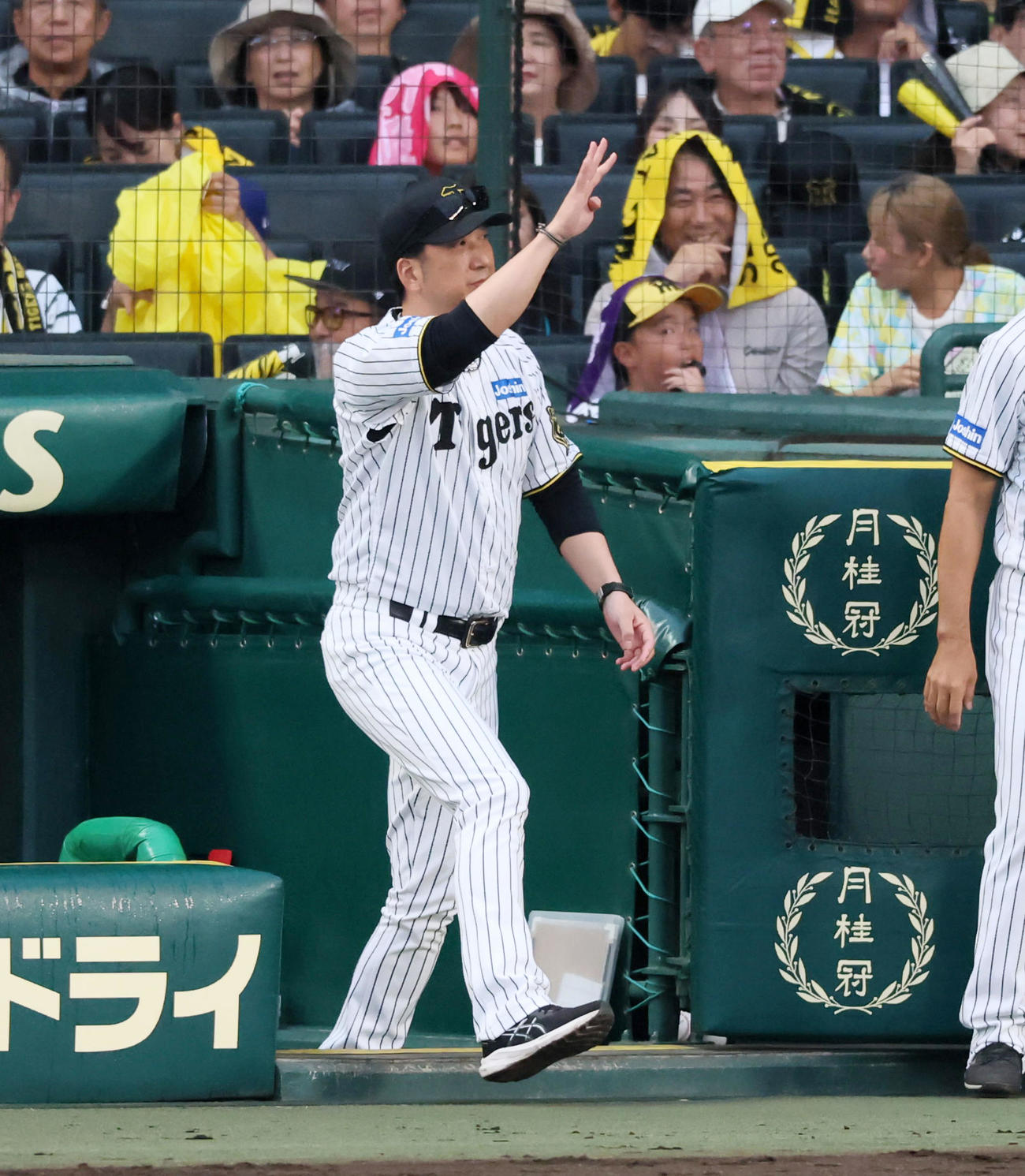 阪神対中日　9回表中日2死二塁、藤川監督は打者岡林に敬遠を申告する（撮影・加藤哉）