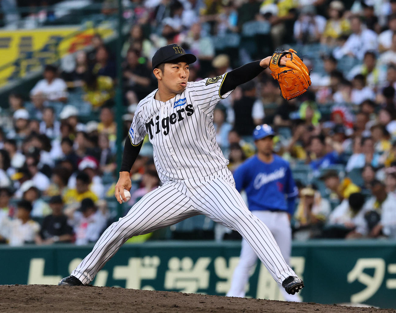 阪神対中日　8回、3番手で登板した阪神石井（撮影・藤尾明華）
