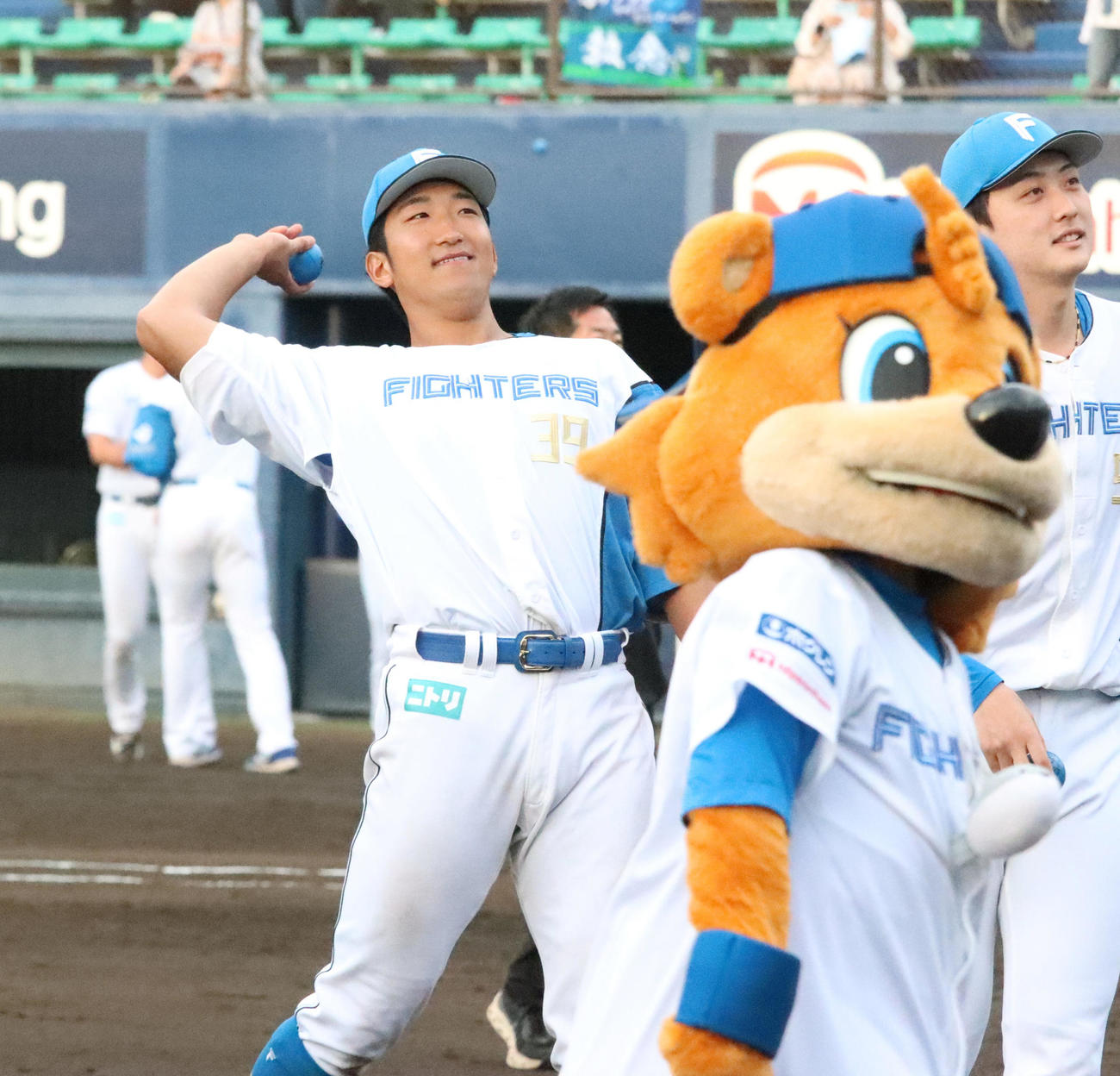 鎌ケ谷最終戦セレモニー後、スタンドのファンにグッズを投げ上げる日本ハム有薗（左）