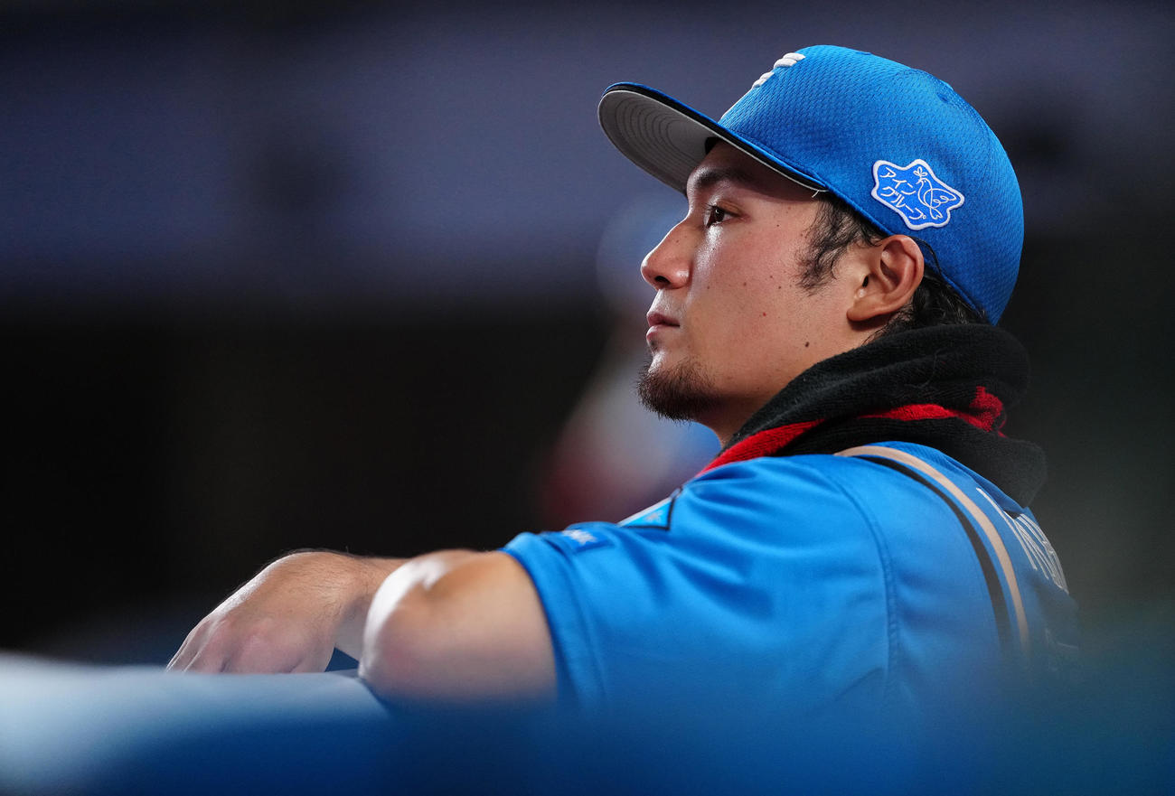 ロッテ対日本ハム　7回表、ベンチから試合を見守る日本ハム伊藤（撮影・鈴木みどり）