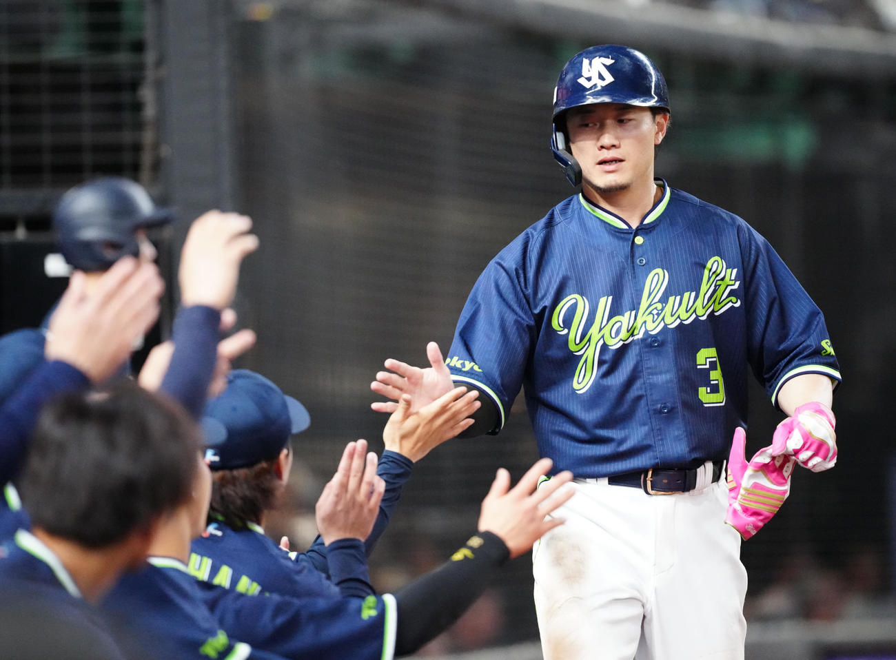 ヤクルト西川遥輝（2025年6月撮影）