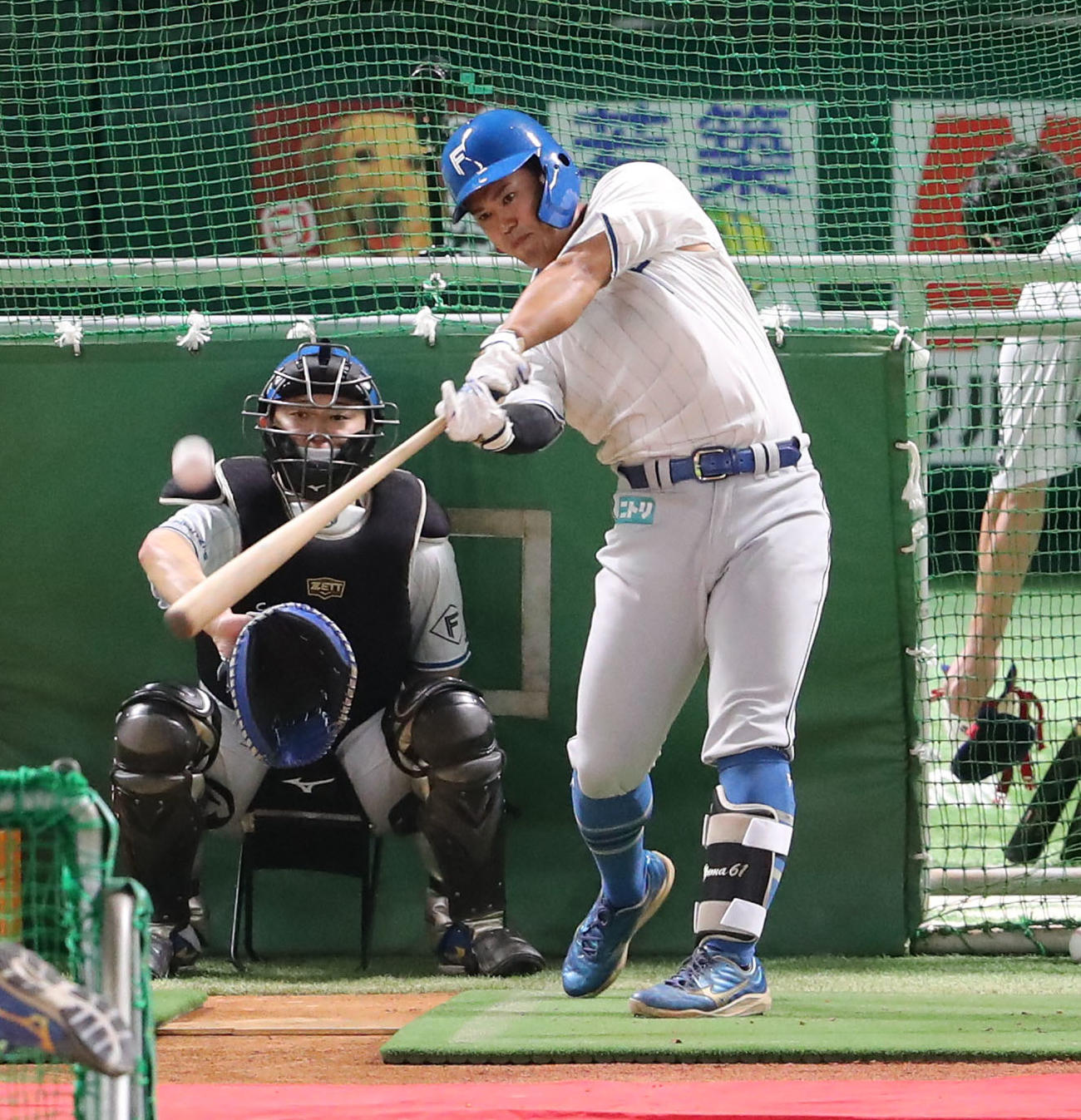 ソフトバンク対日本ハム　1軍に合流した今川は打撃練習を行う（撮影・梅根麻紀）