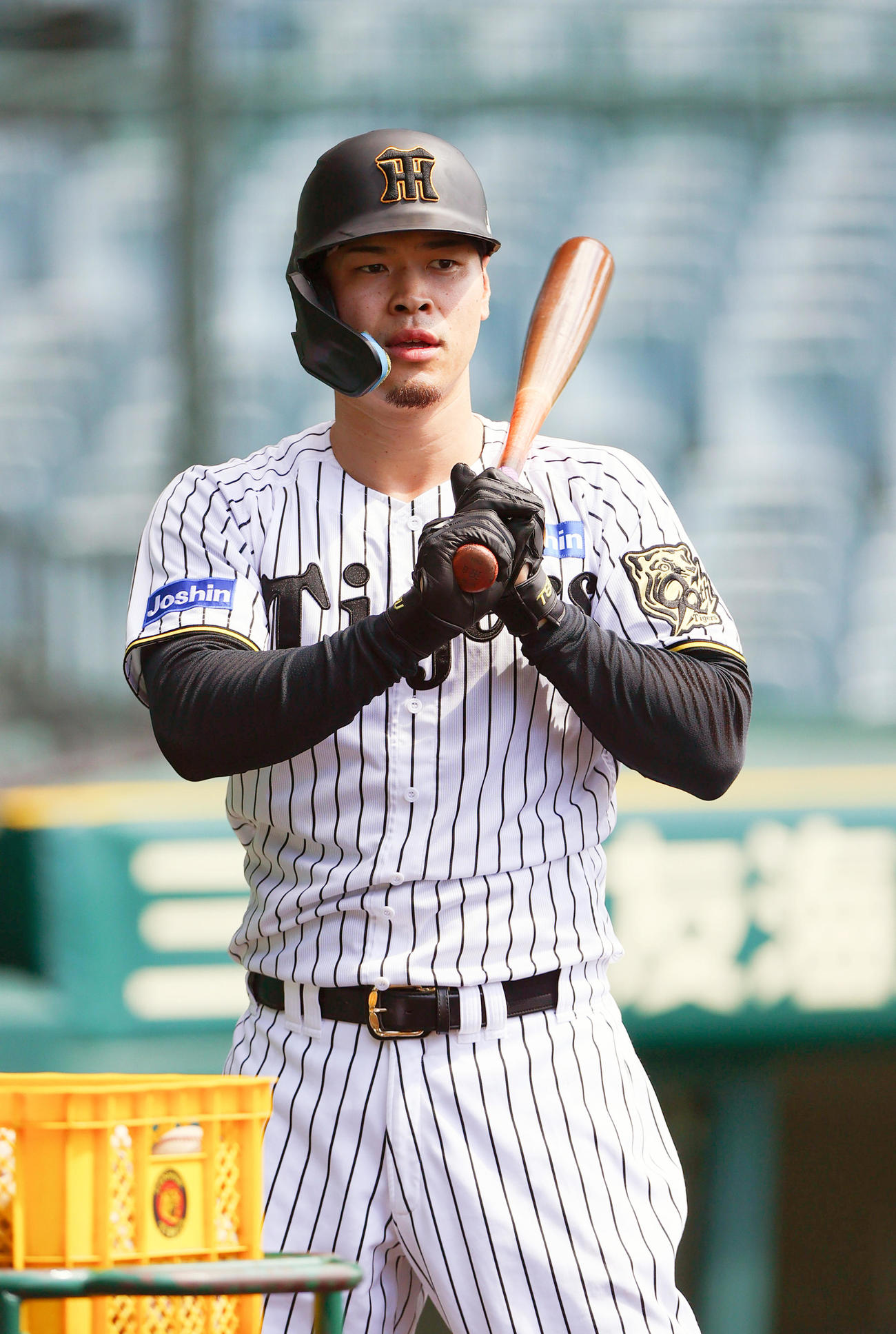 練習に励む阪神佐藤輝（撮影・上山淳一）
