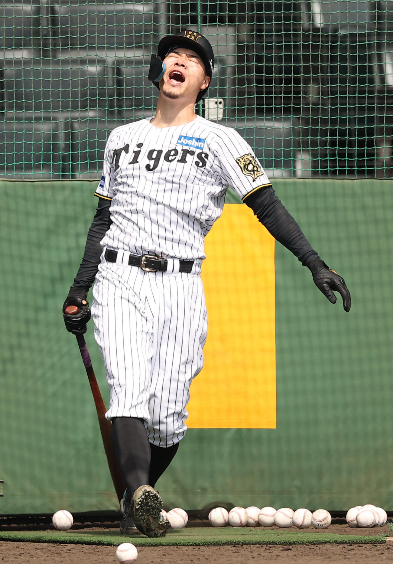 雄たけびをあげながらフリー打撃練習をする佐藤輝（撮影・上田博志）