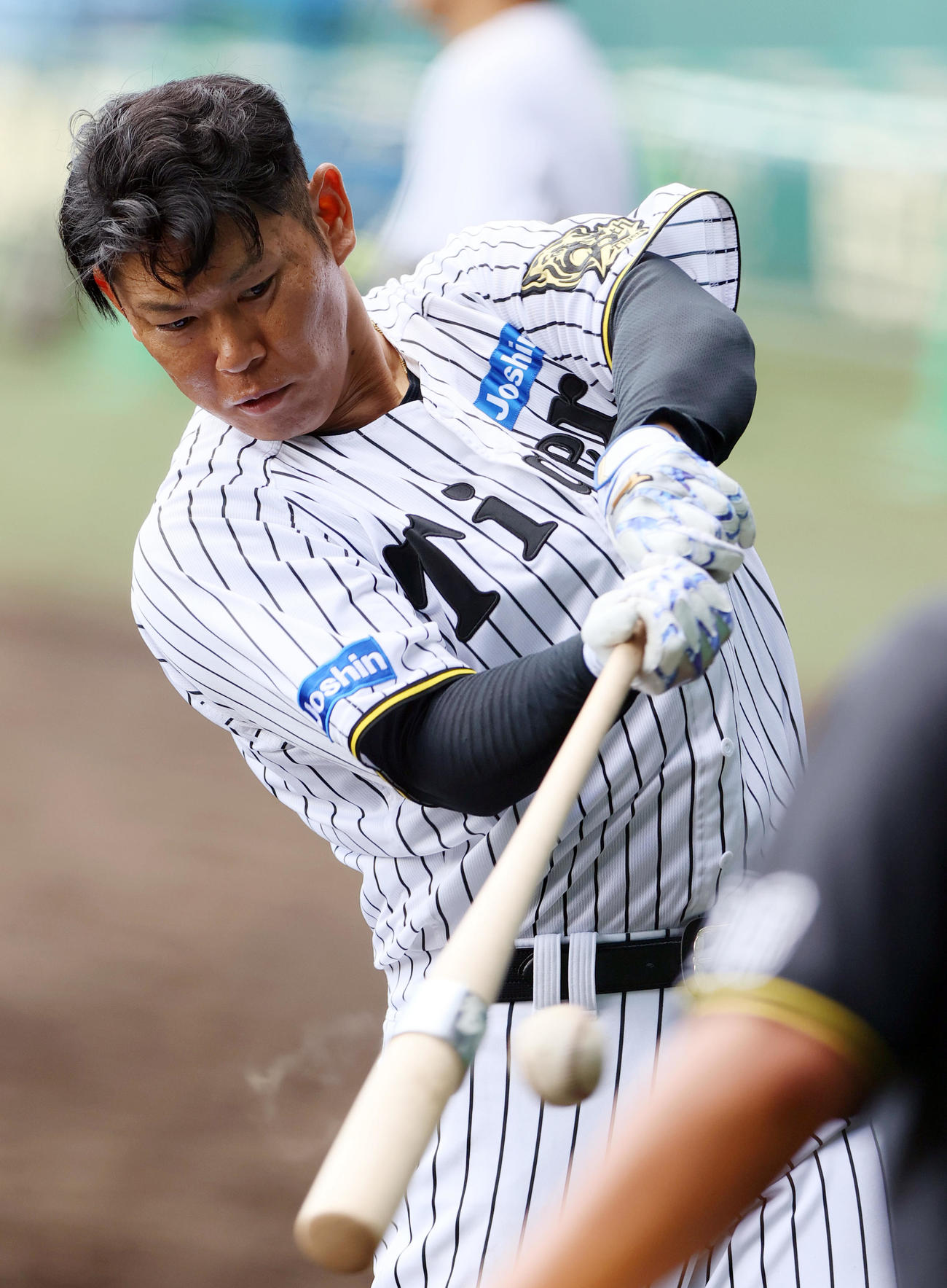 トス打撃を行う阪神原口（撮影・上山淳一）