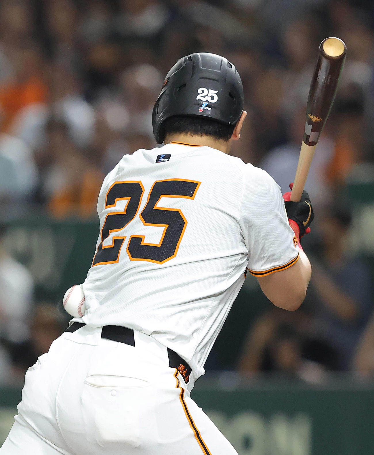巨人対中日　7回裏巨人2死三塁、死球を受ける岡本（撮影・河田真司）