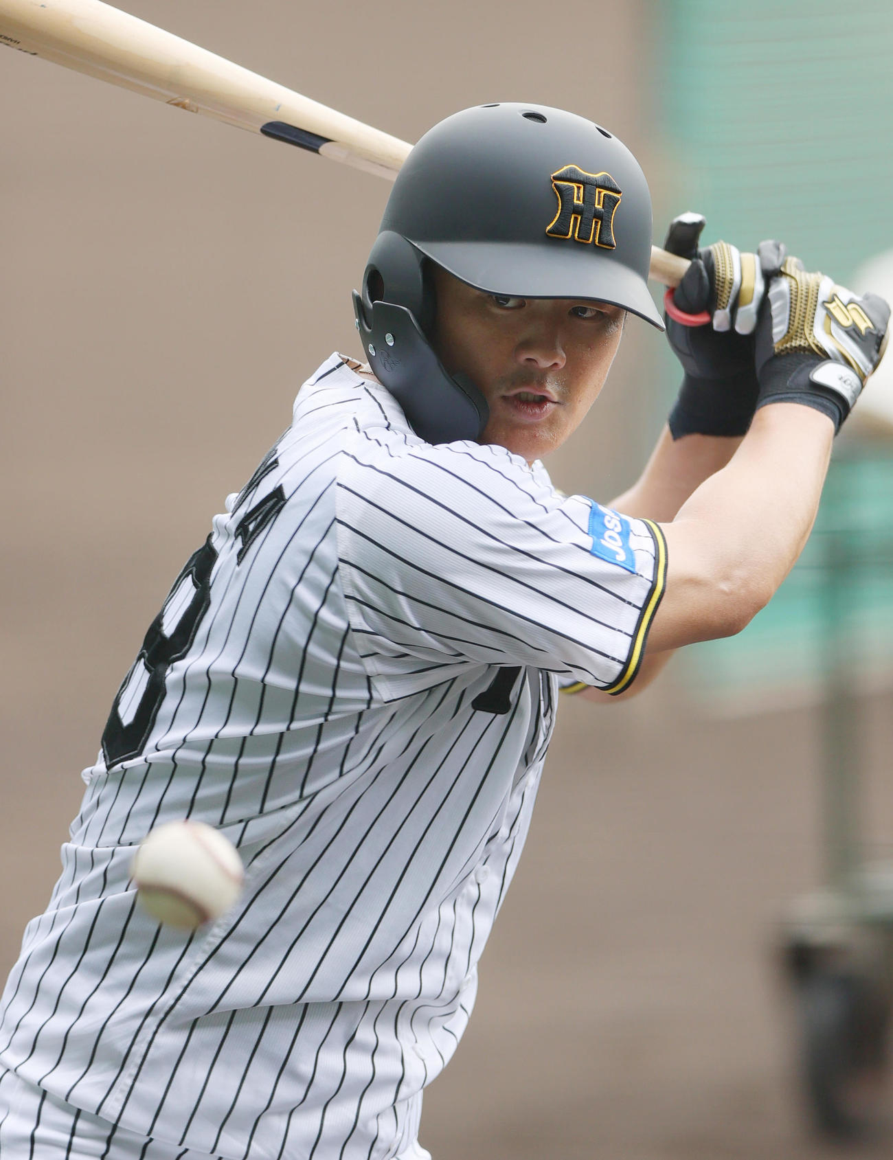 阪神前川右京（2025年9月25日撮影）