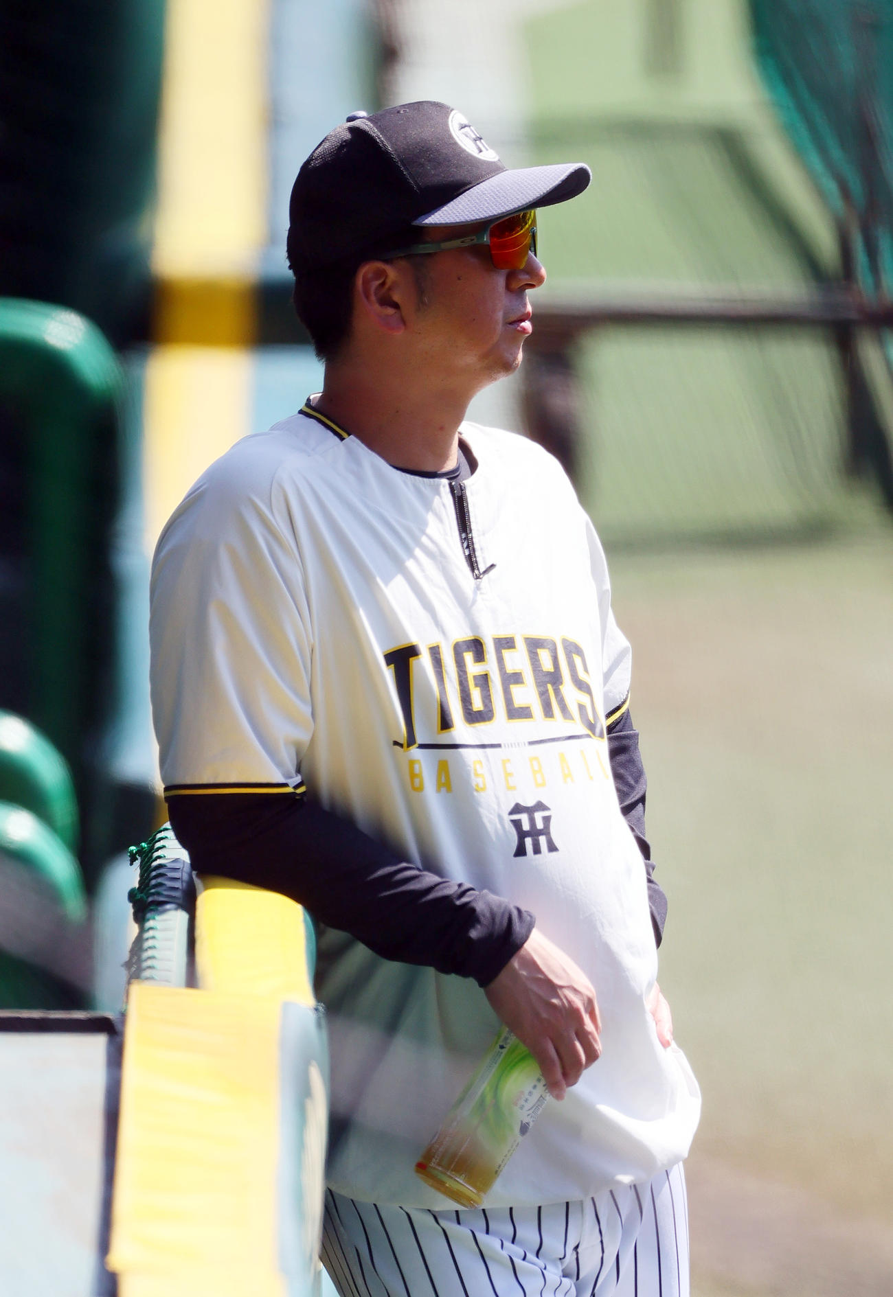 練習を見守る阪神藤川監督（撮影・上山淳一）