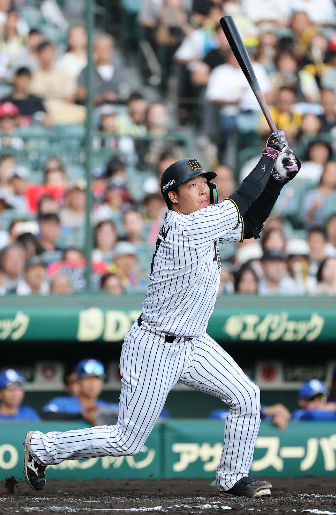 大山悠輔＝2025年9月27日