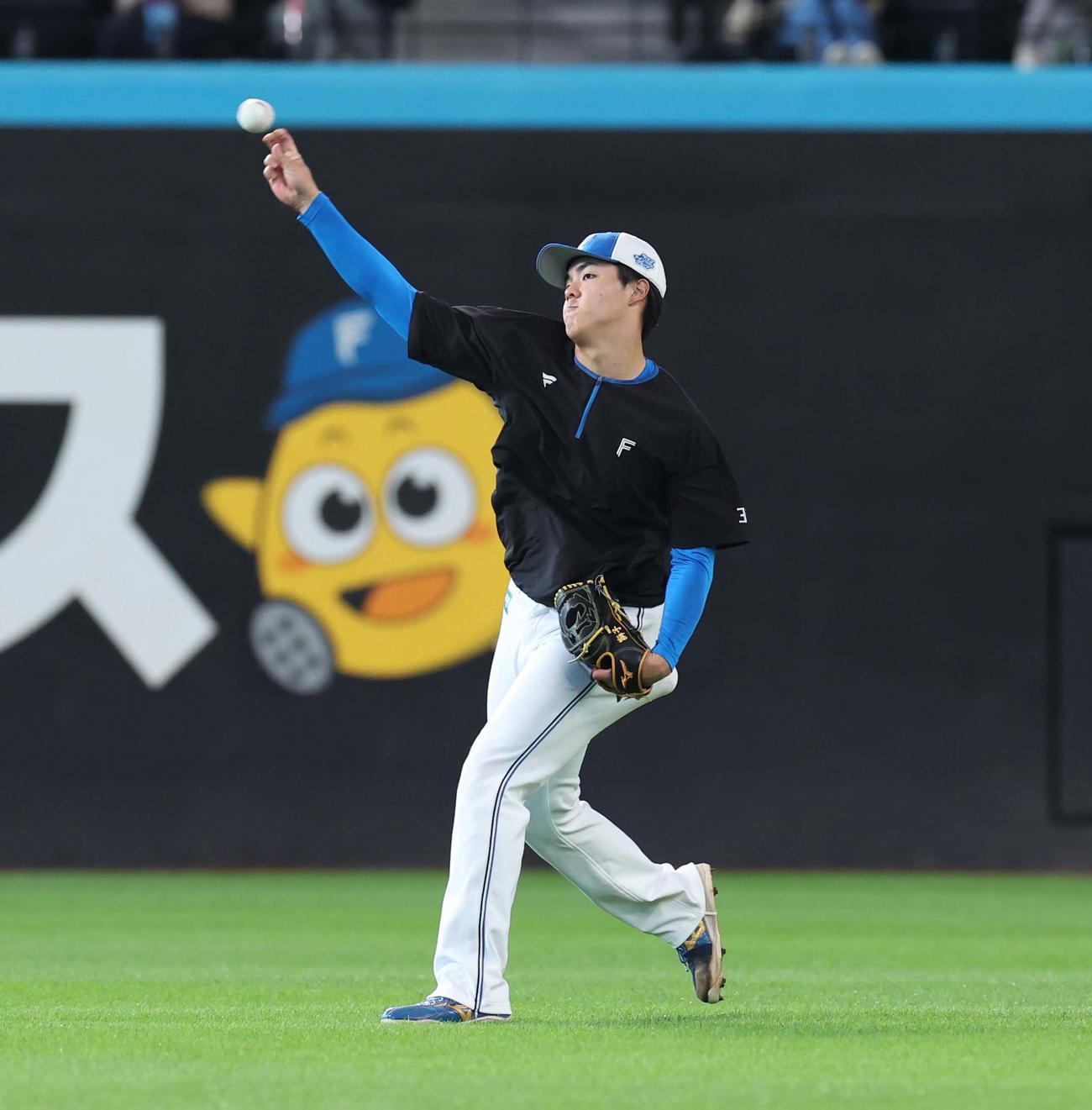 キャッチボールする日本ハム柴田（撮影・黒川智章）