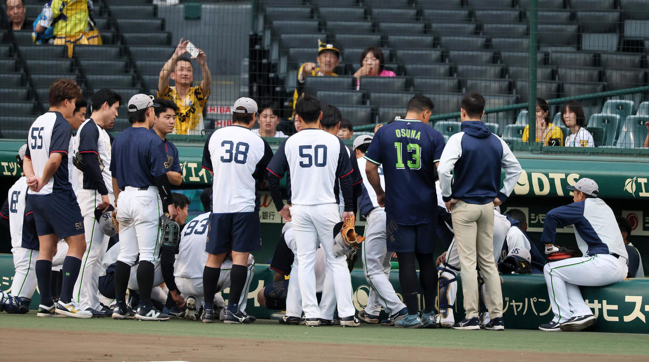 阪神対ヤクルト　試合前の円陣を組むヤクルトナイン（撮影・加藤哉）