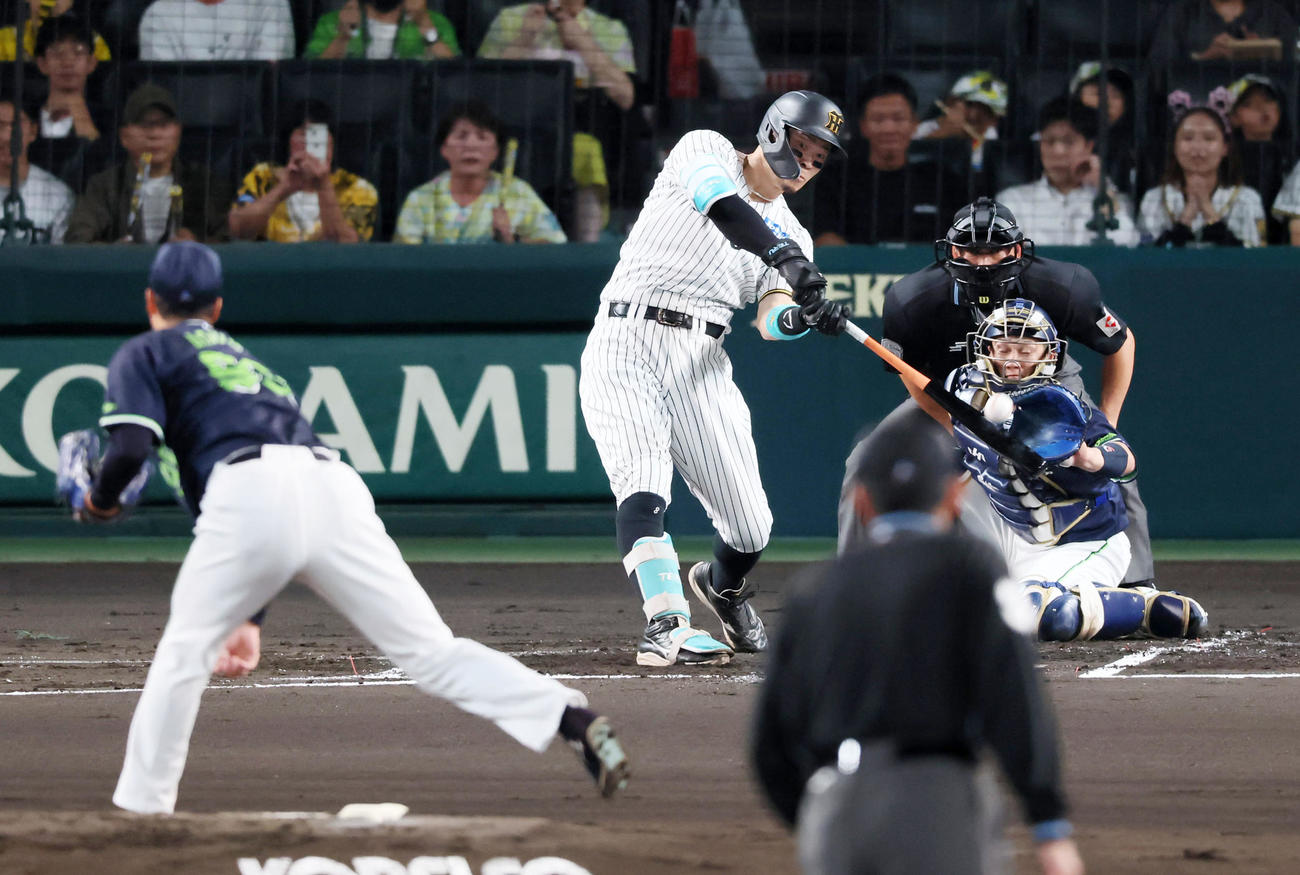 阪神対ヤクルト　1回裏阪神1死三塁、佐藤輝は左犠飛を打って先制点を挙げる。投手青柳（撮影・加藤哉）
