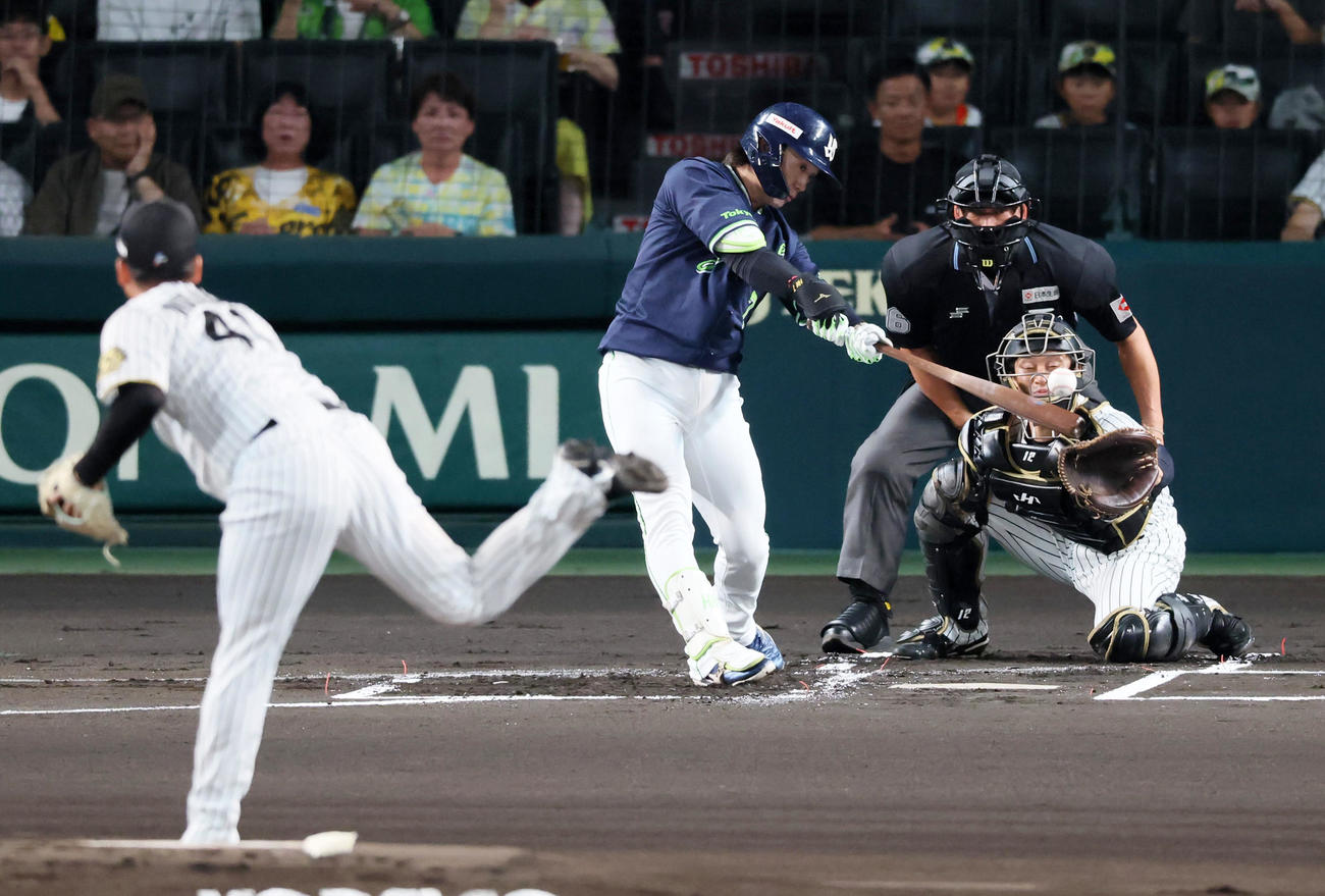阪神対ヤクルト　1回表ヤクルト1死、長岡は中前打を放つ。投手村上（撮影・加藤哉）