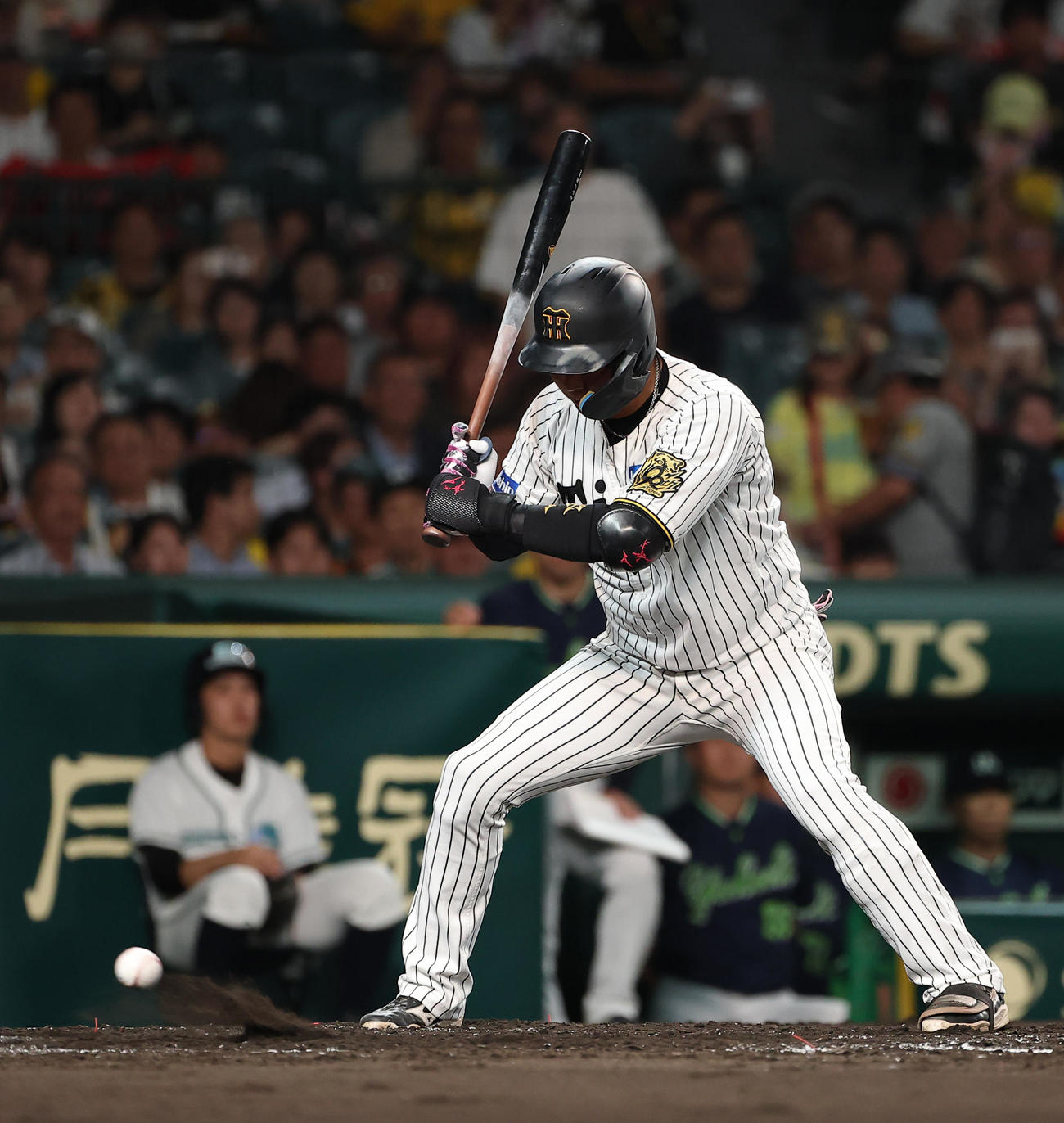 阪神対ヤクルト　3回裏阪神2死一塁、大山は四球を選ぶ（撮影・上田博志）