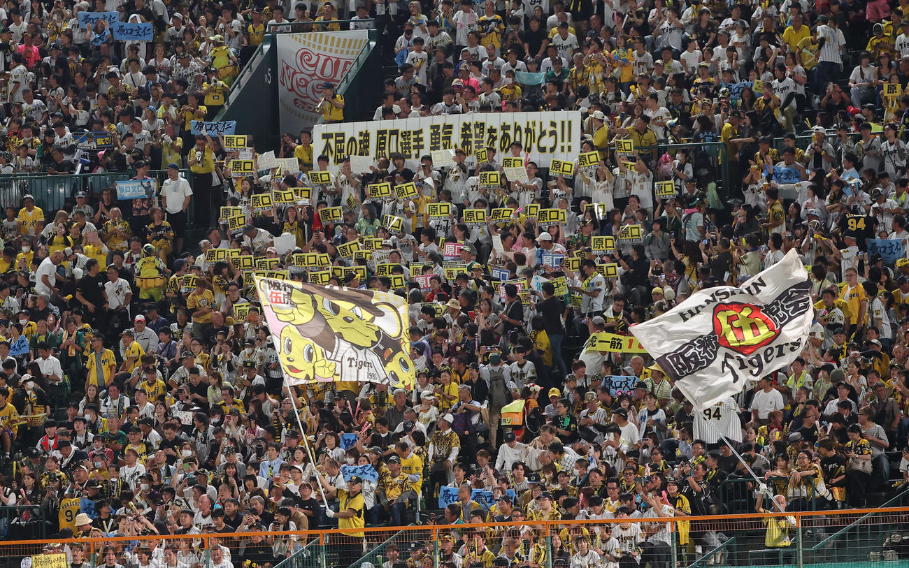 阪神対ヤクルト　　原口の横断幕を揚げる阪神ファン（撮影・上田博志）